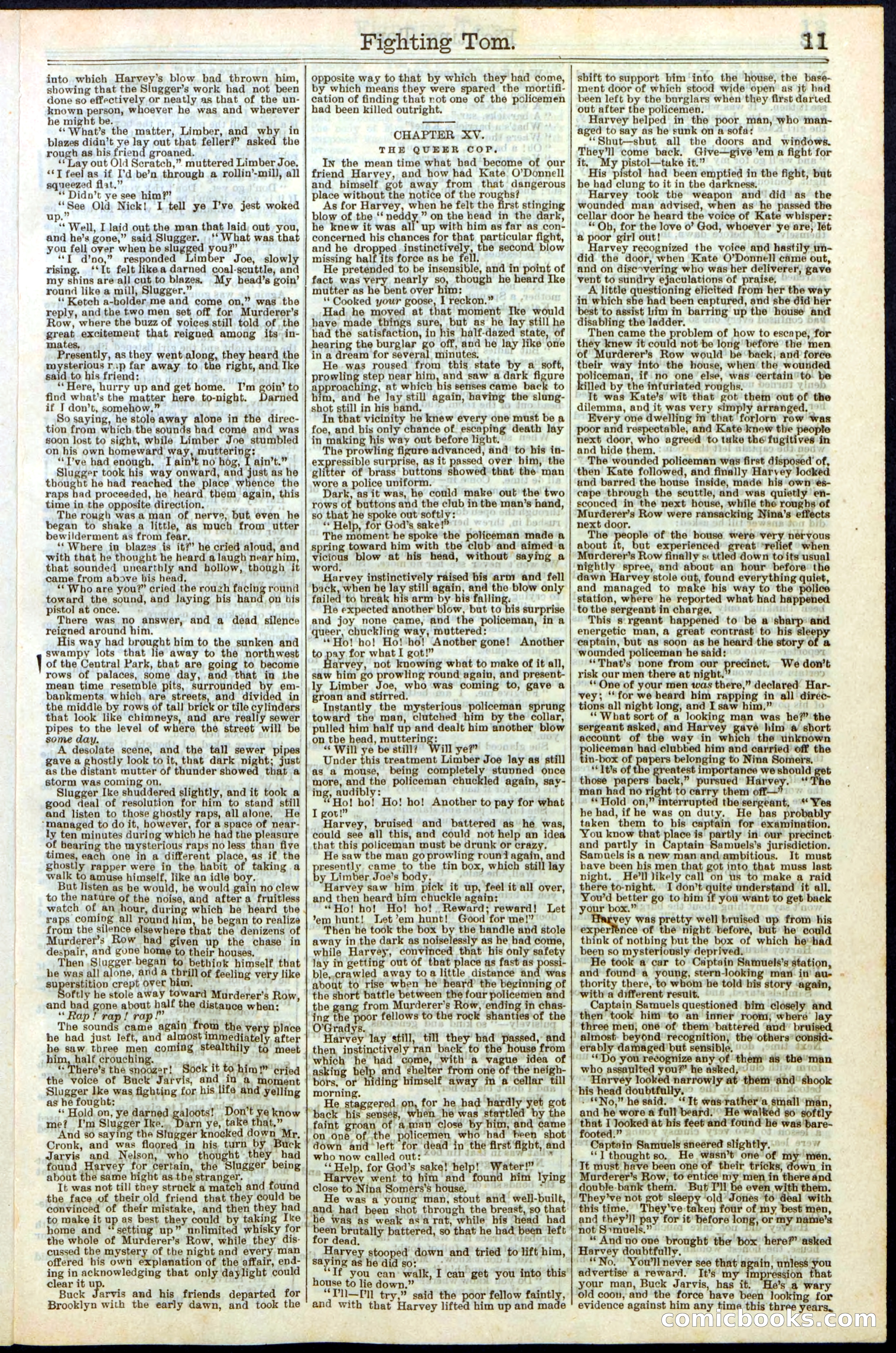 Beadle's New York Dime Library No. 262 — page 11 of 32