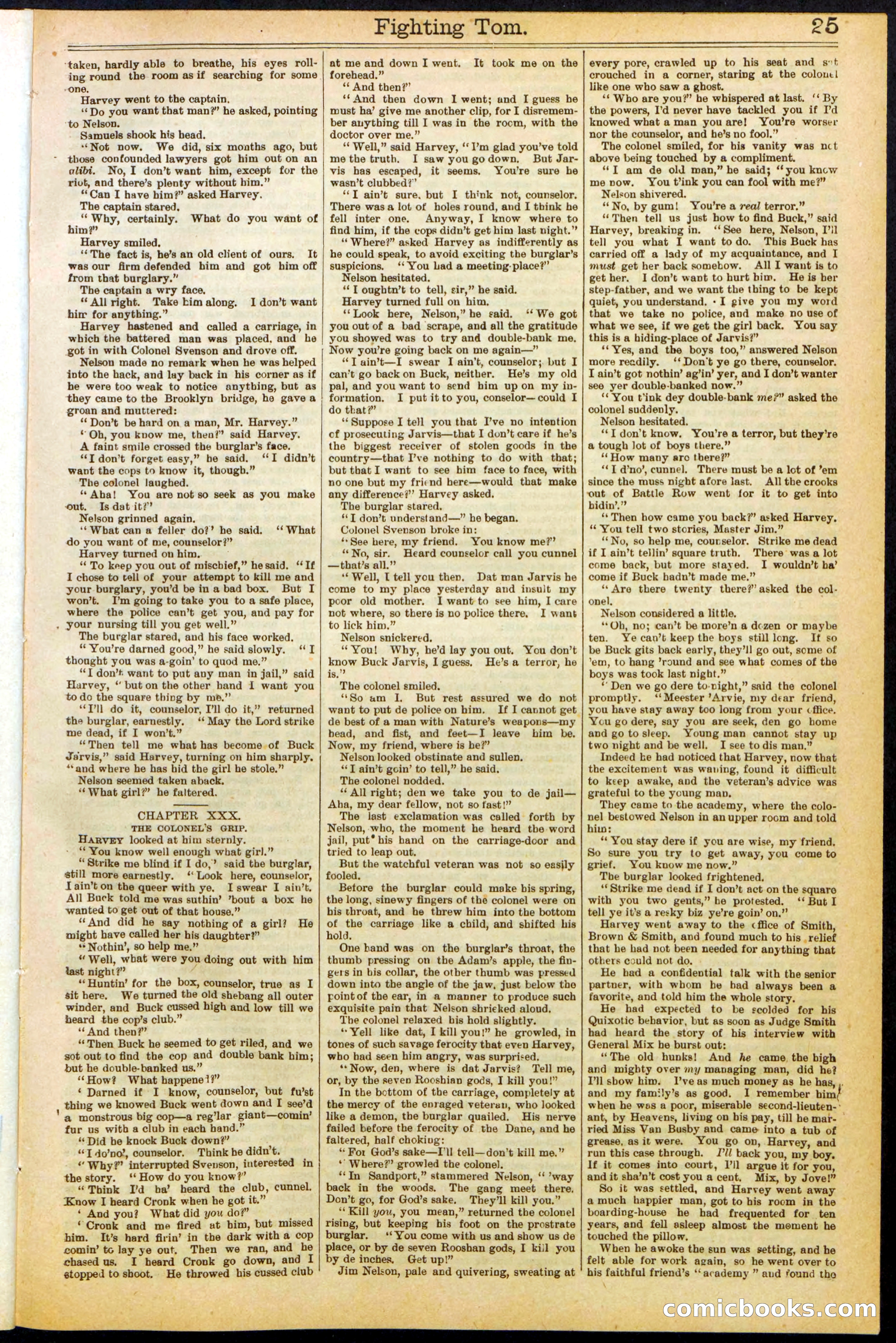 Beadle's New York Dime Library No. 262 — page 25 of 32