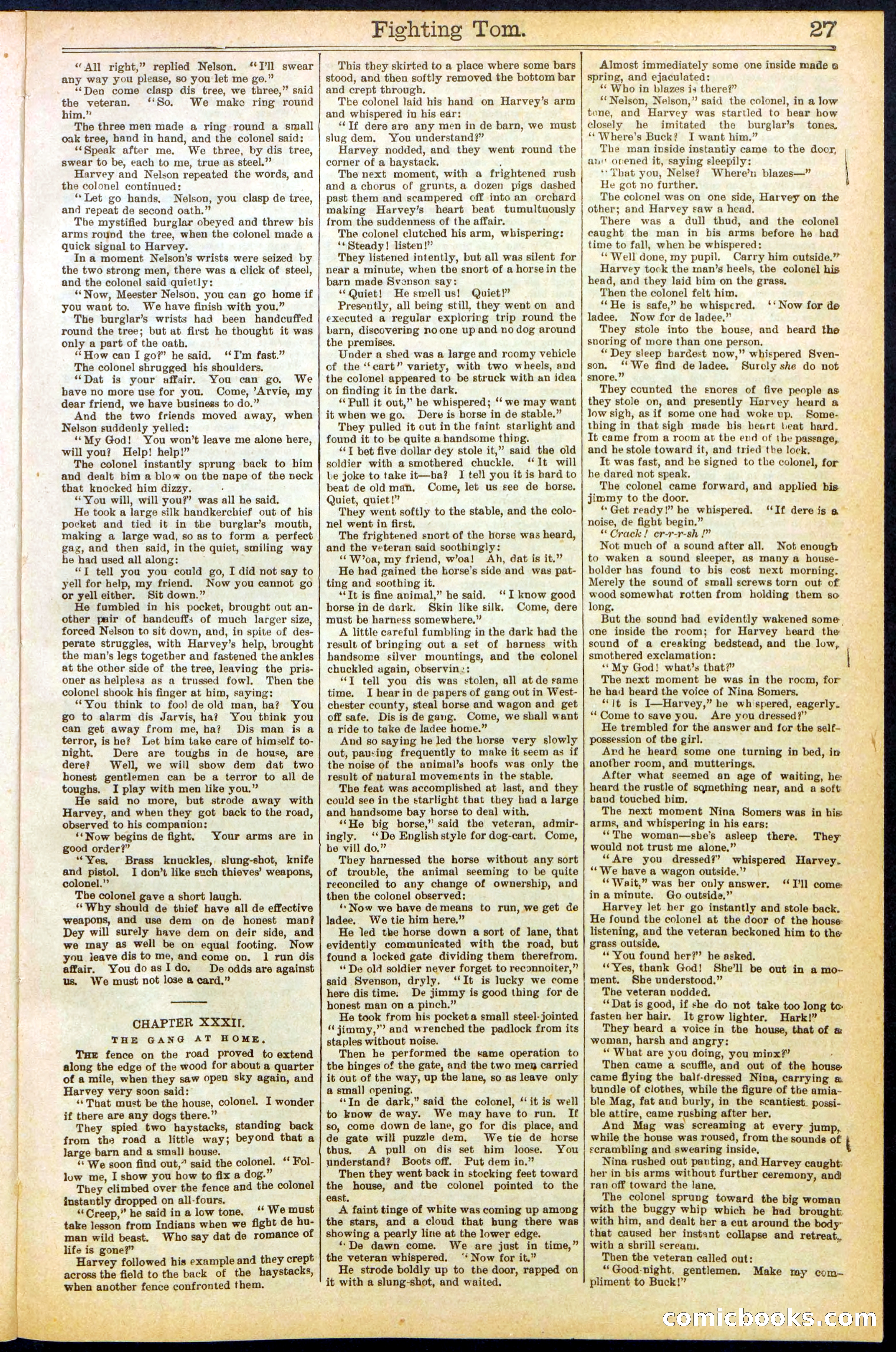 Beadle's New York Dime Library No. 262 — page 27 of 32