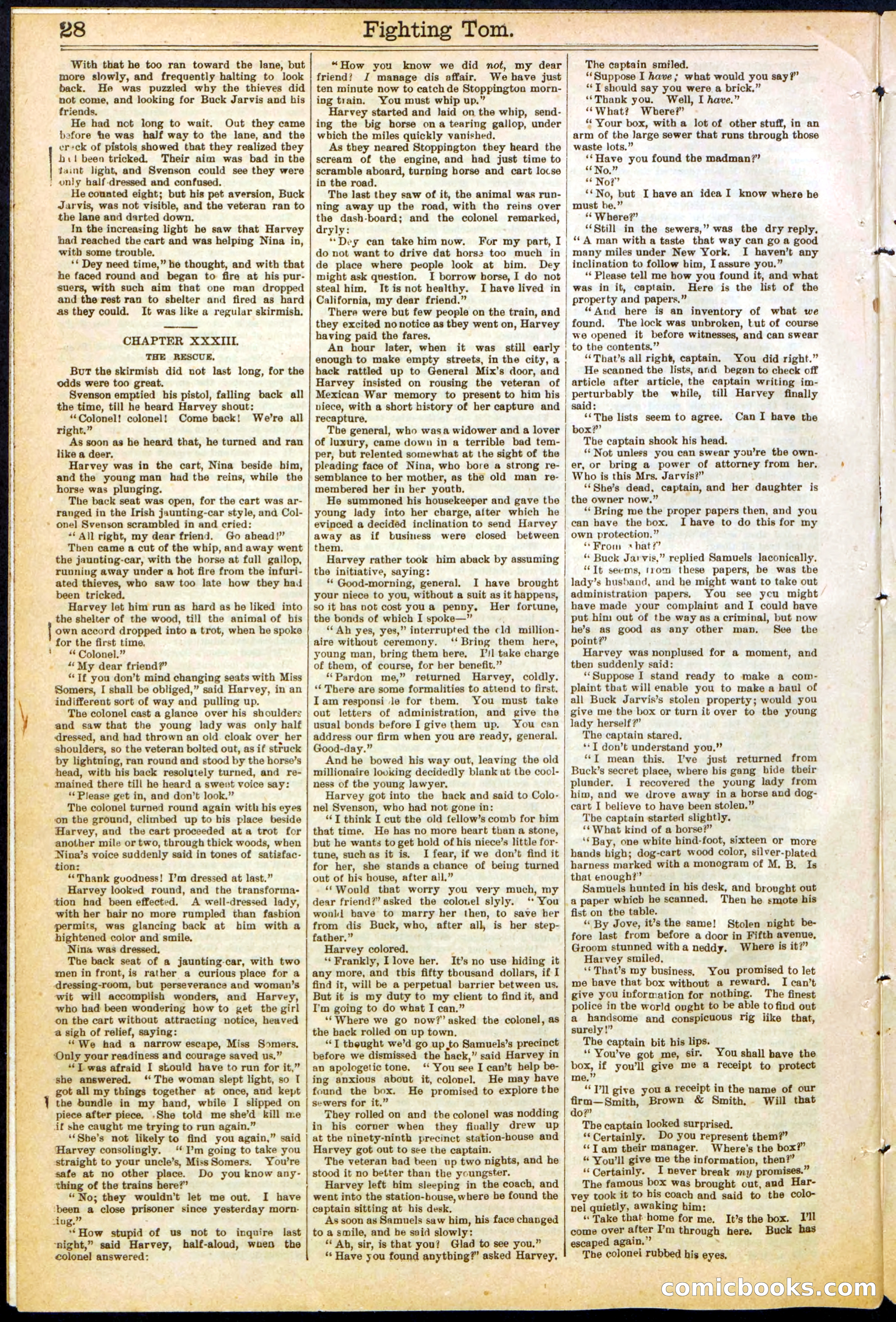 Beadle's New York Dime Library No. 262 — page 28 of 32
