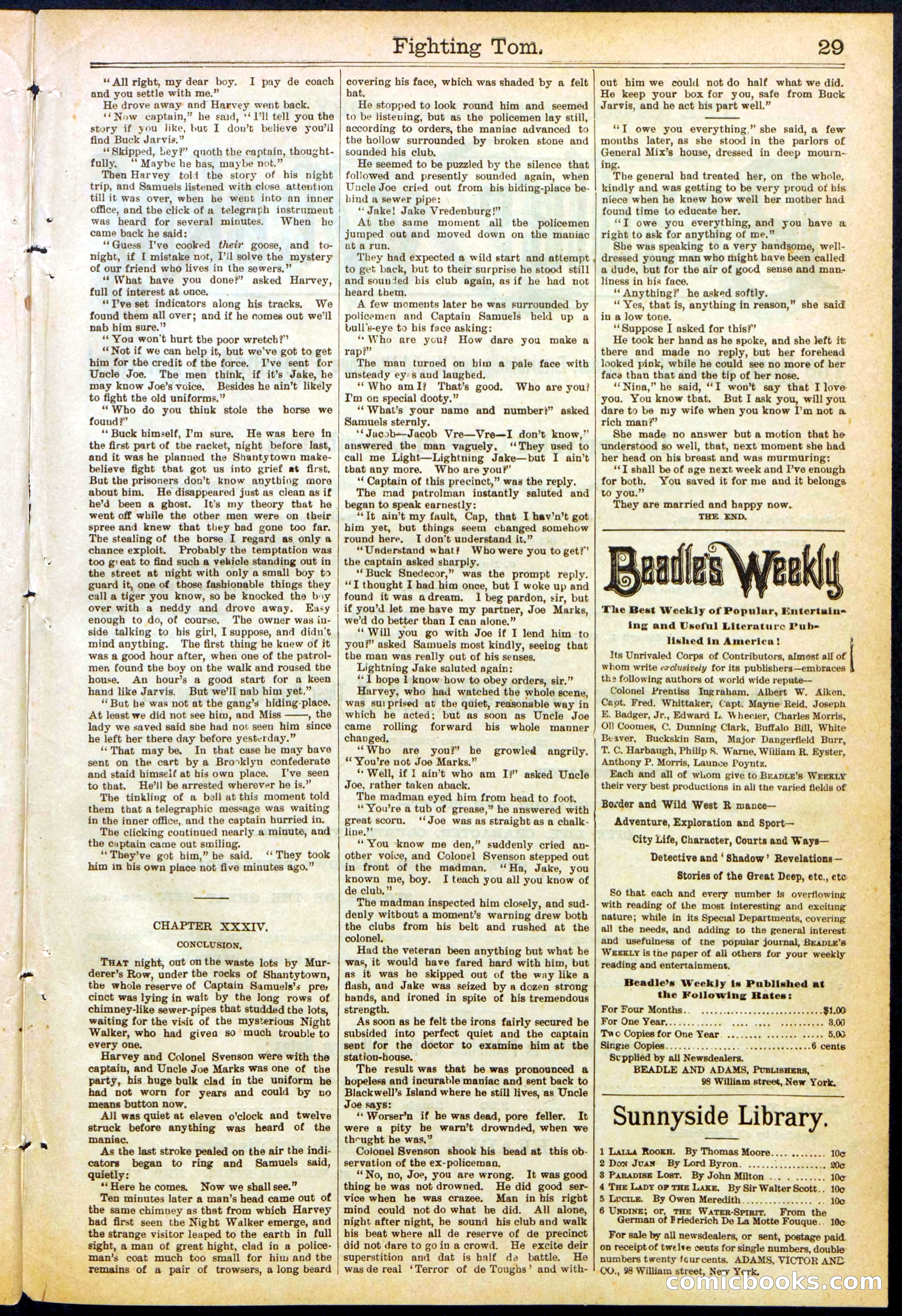 Beadle's New York Dime Library No. 262 — page 29 of 32