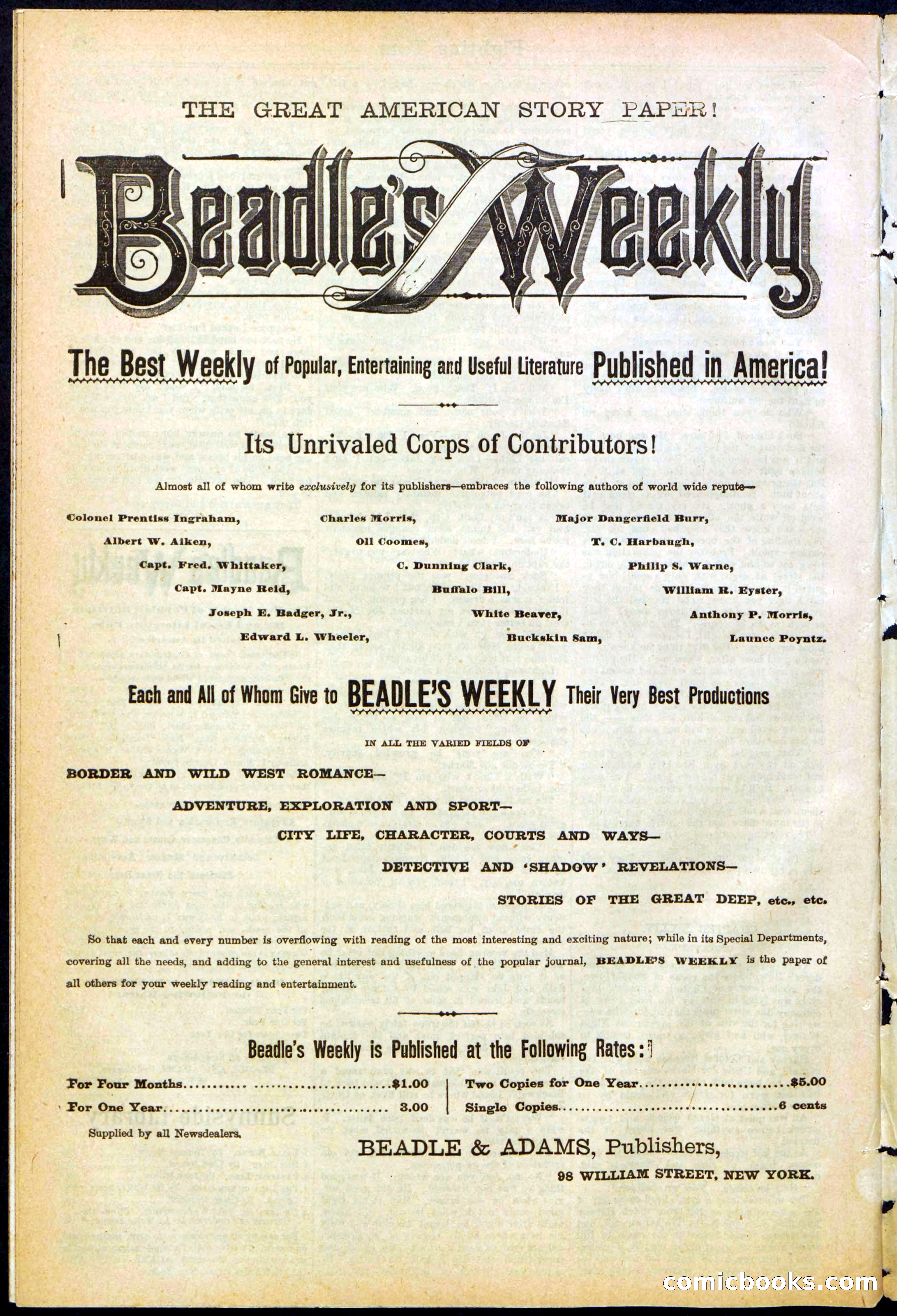 Beadle's New York Dime Library No. 262 — page 30 of 32