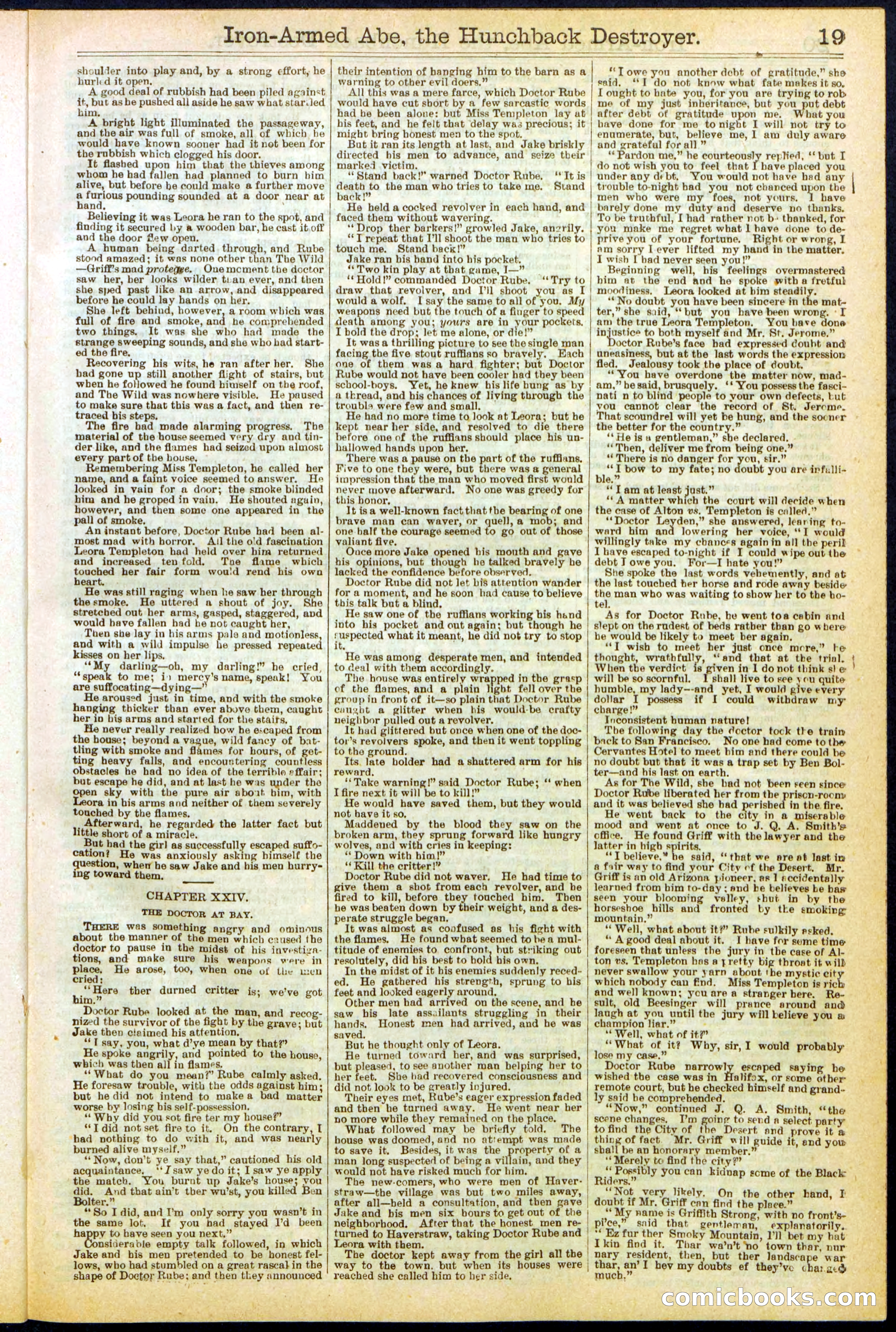 Beadle's Dime Library No. 263 — page 19 of 32
