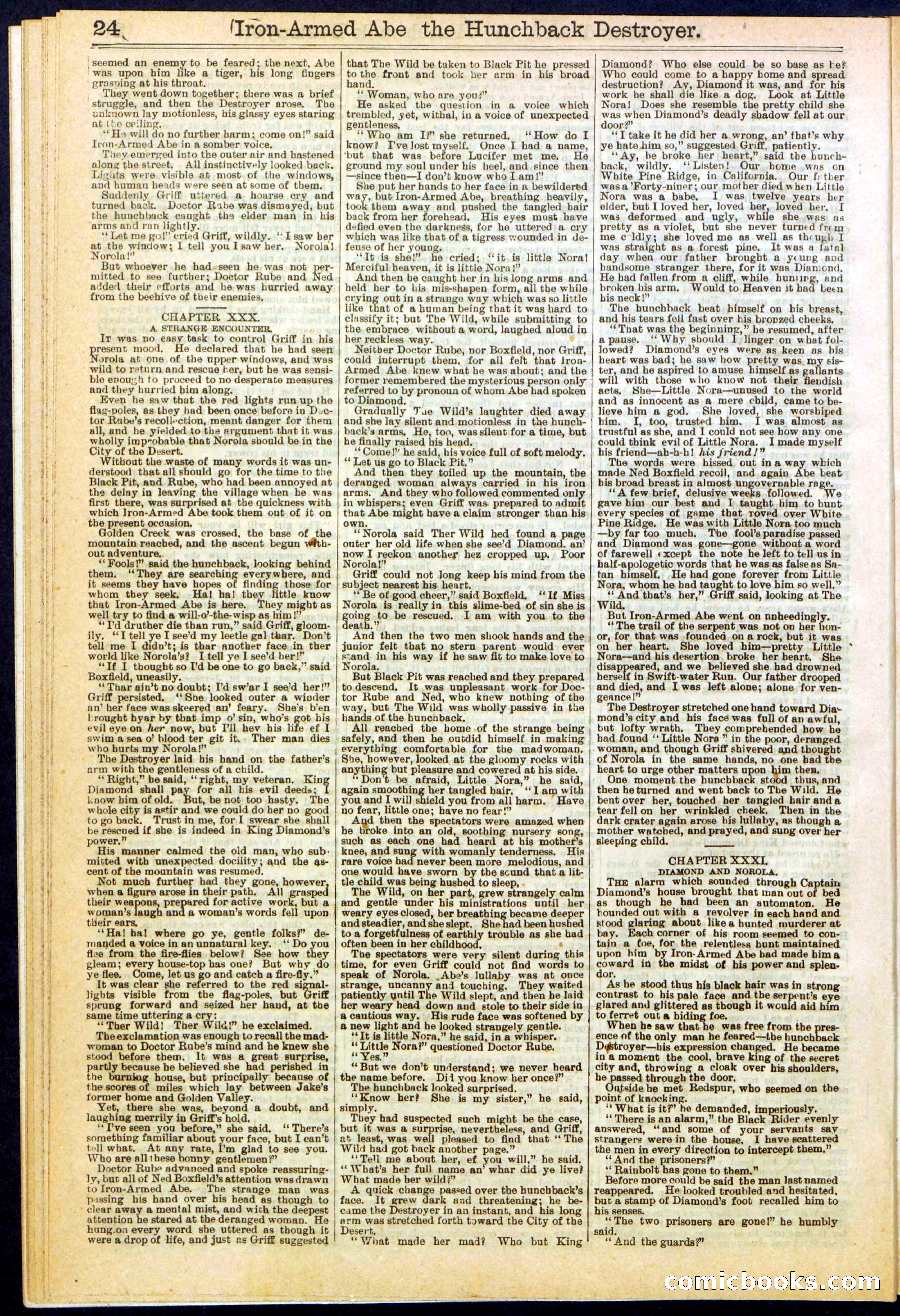 Beadle's Dime Library No. 263 — page 24 of 32