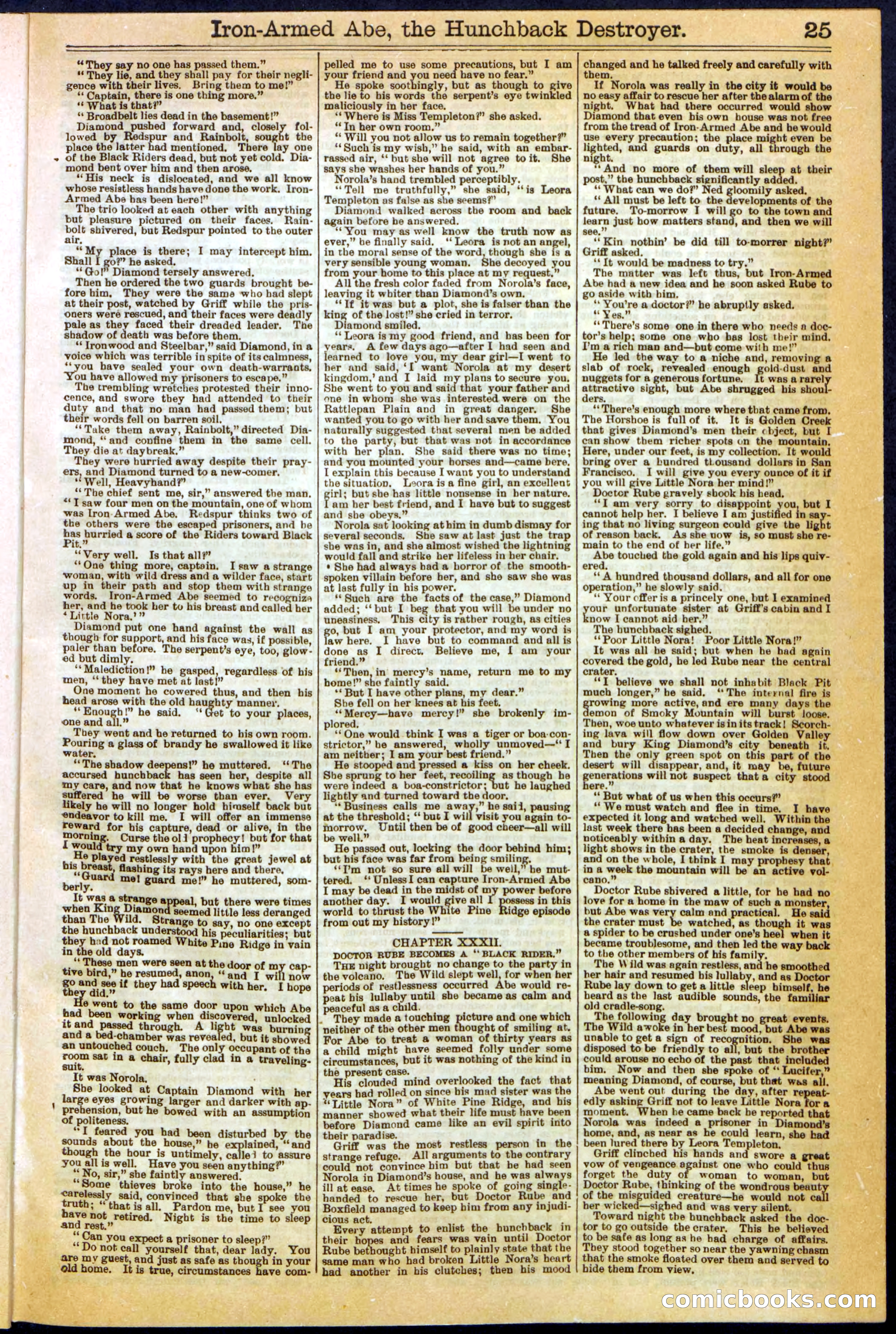 Beadle's Dime Library No. 263 — page 25 of 32
