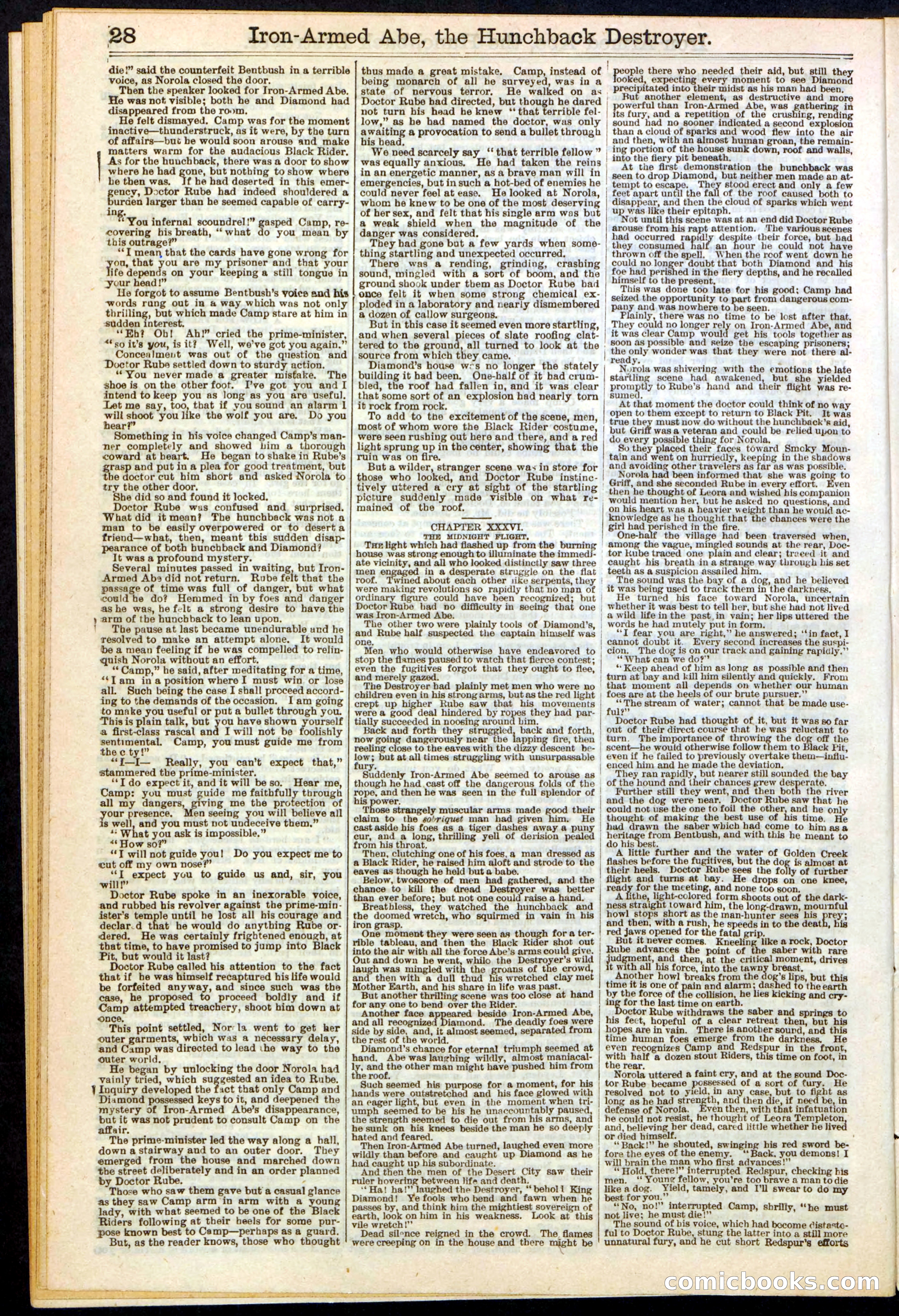 Beadle's Dime Library No. 263 — page 28 of 32