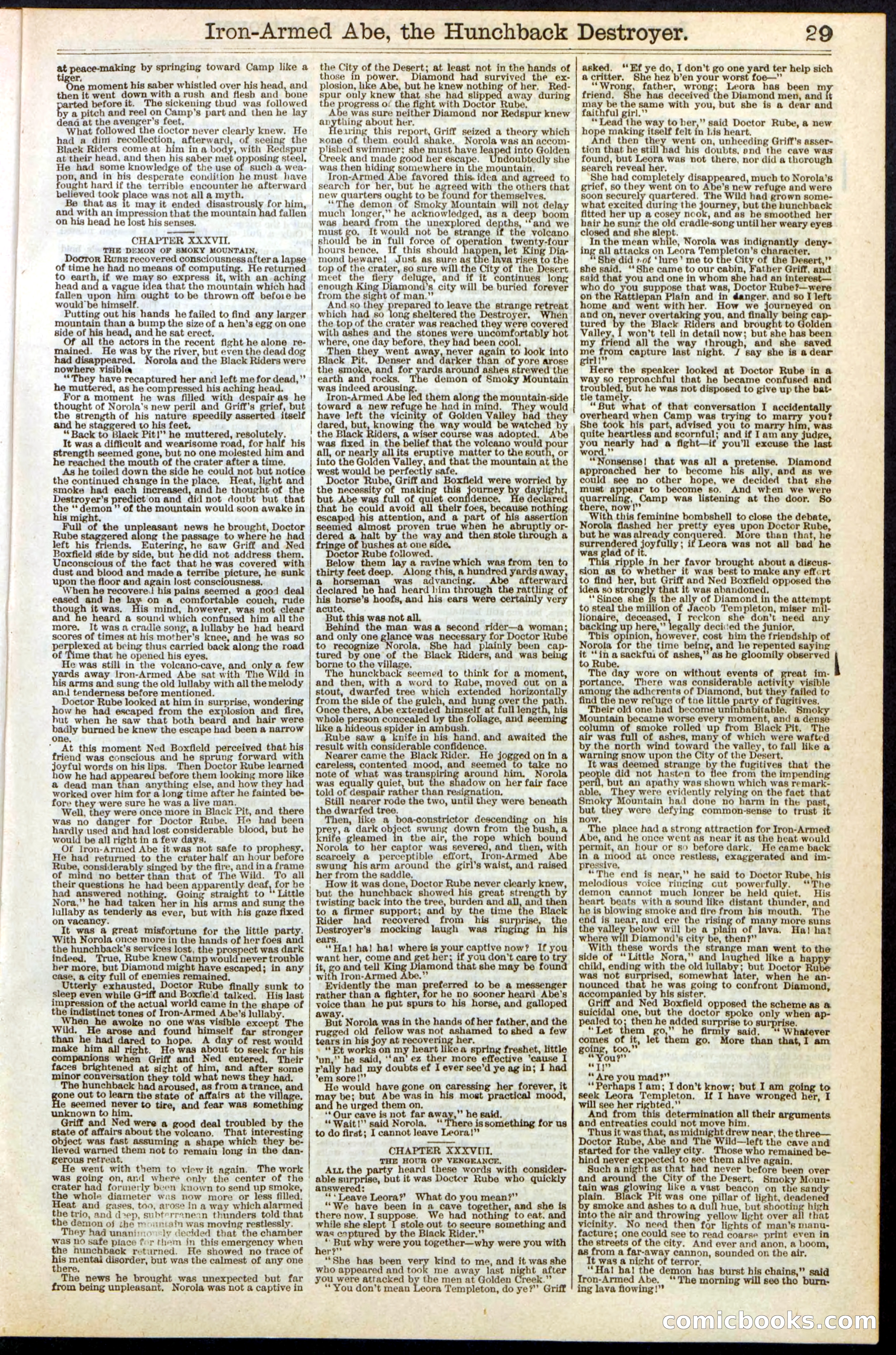 Beadle's Dime Library No. 263 — page 29 of 32