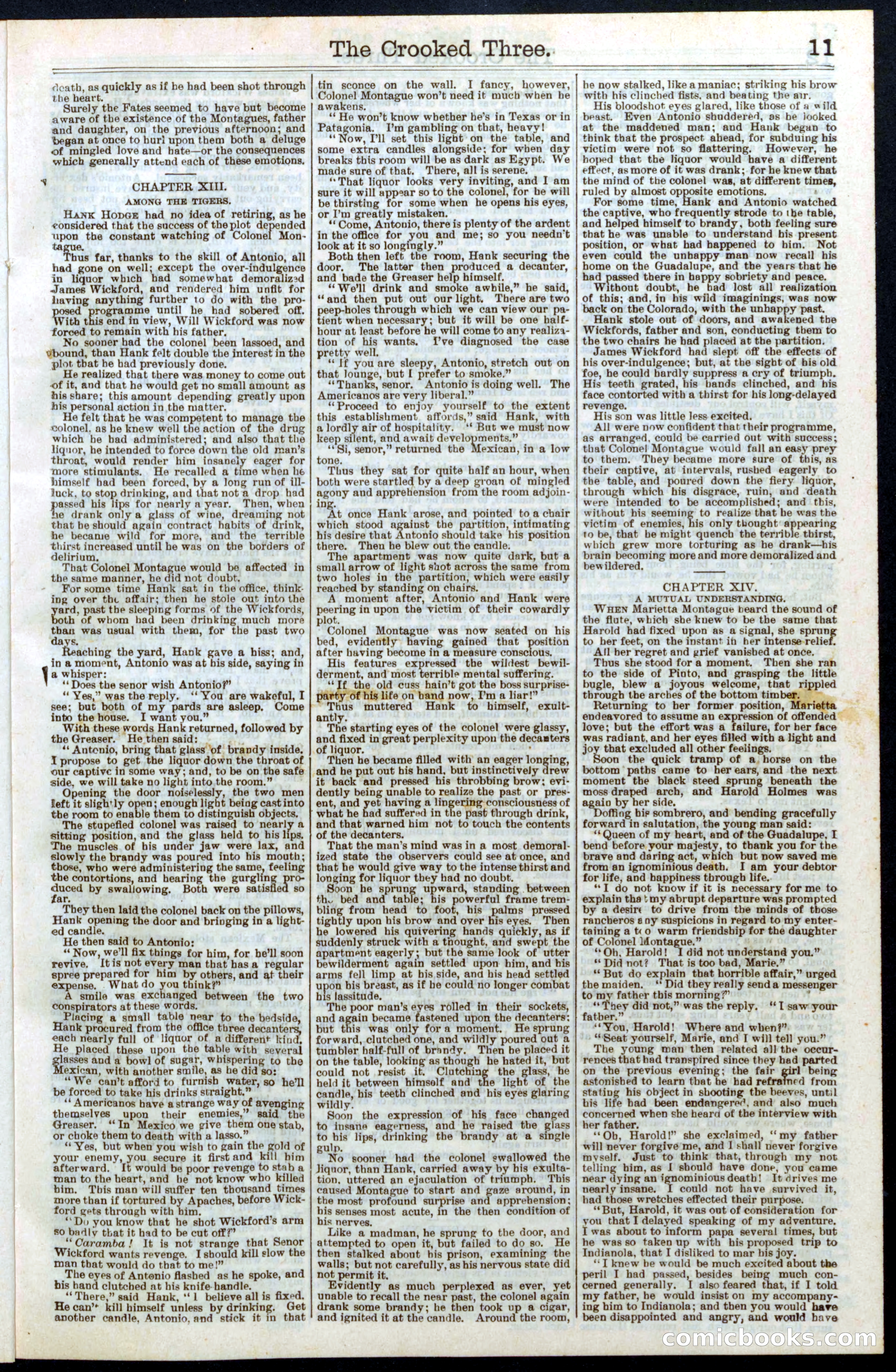 Beadle's New York Dime Library No. 264 — page 11 of 32