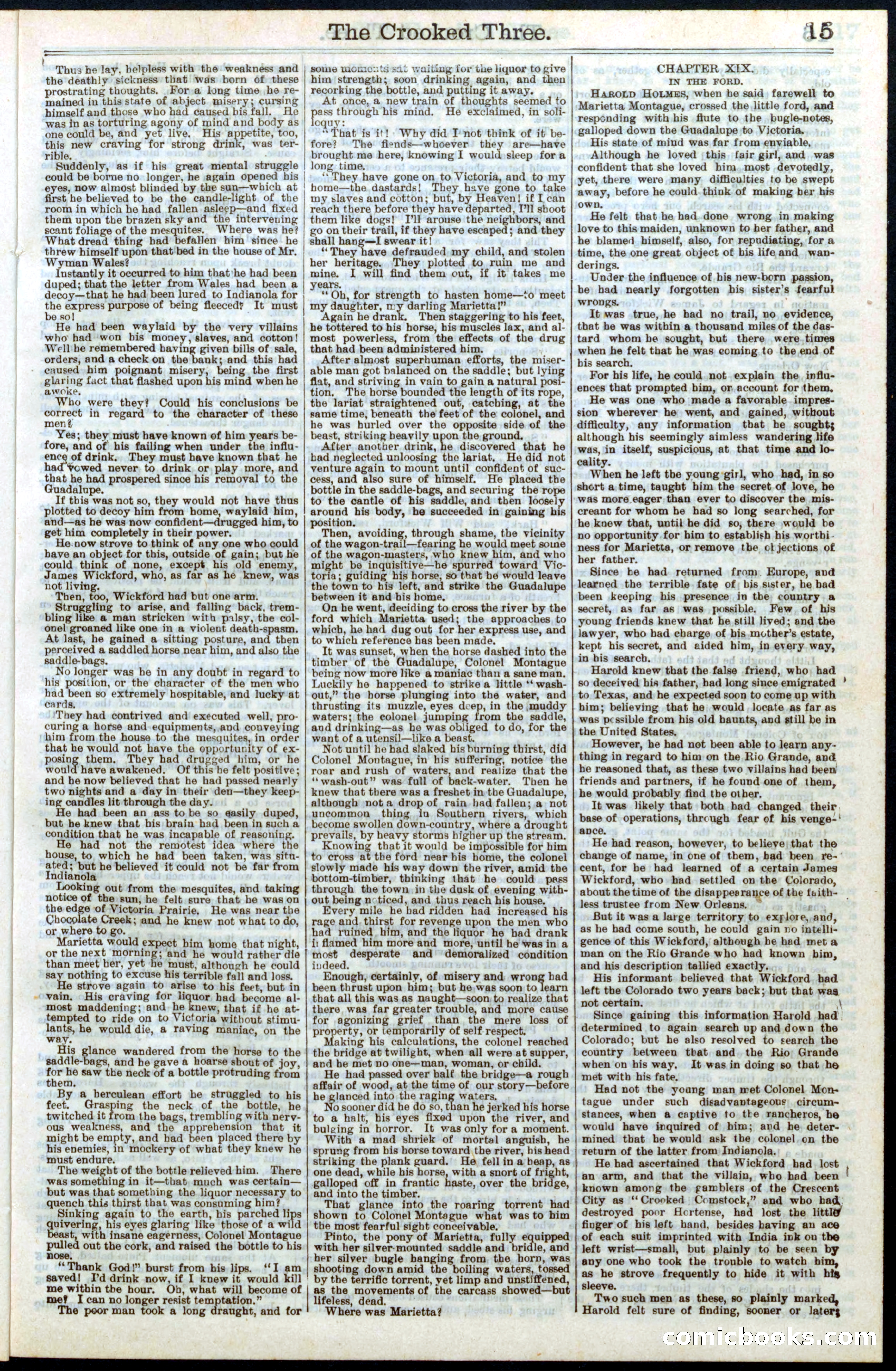 Beadle's New York Dime Library No. 264 — page 15 of 32