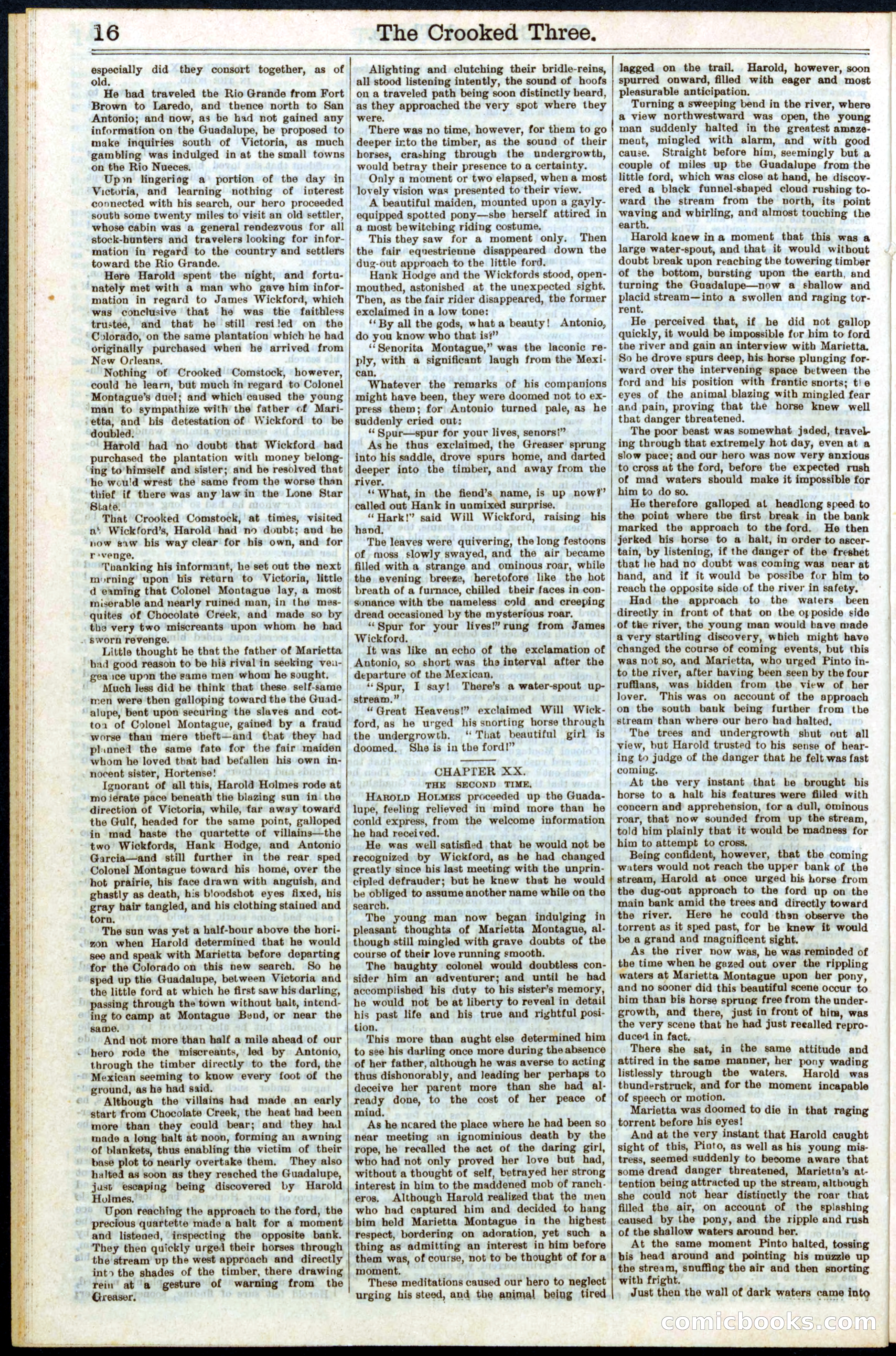 Beadle's New York Dime Library No. 264 — page 16 of 32