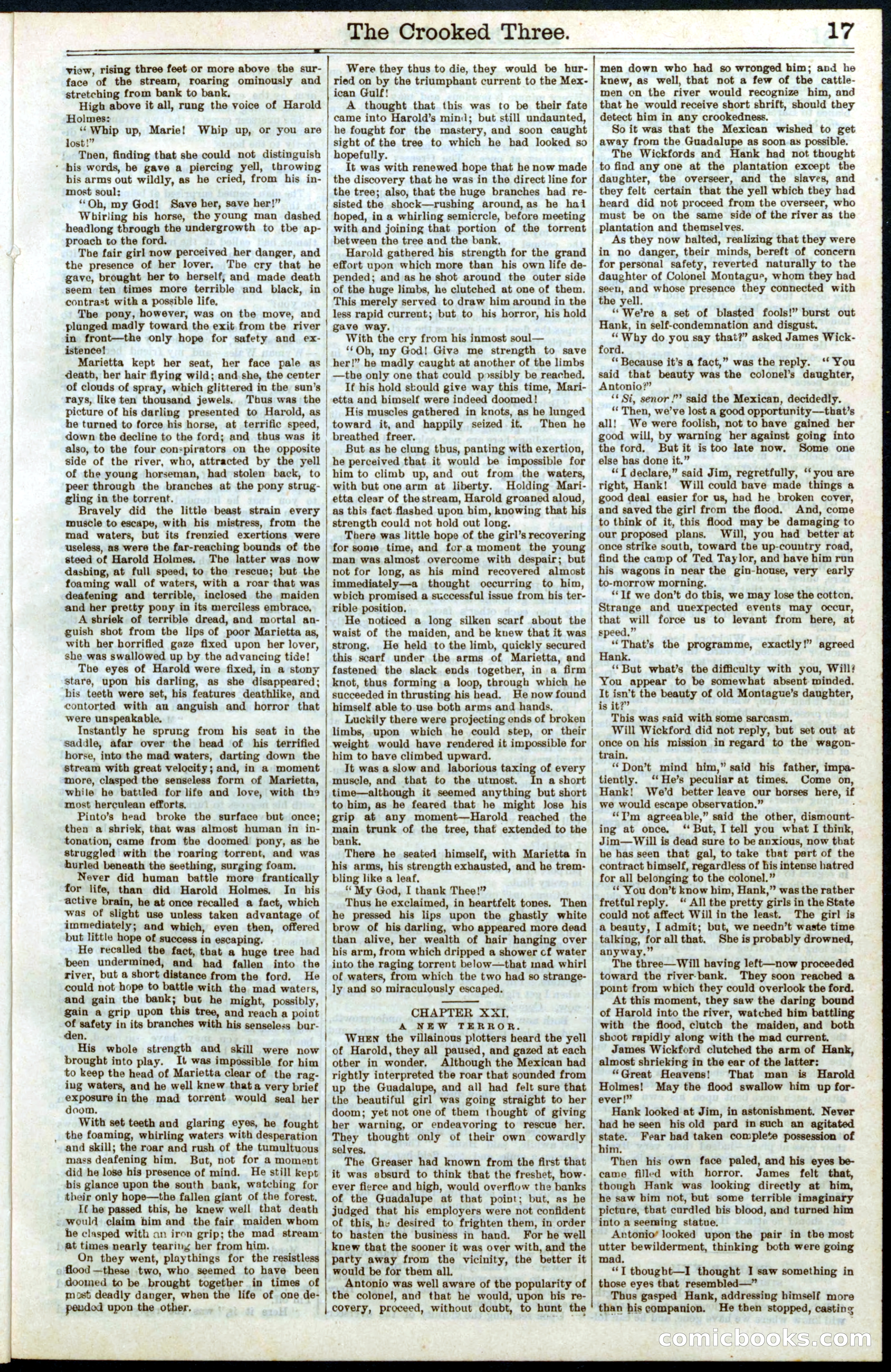 Beadle's New York Dime Library No. 264 — page 17 of 32