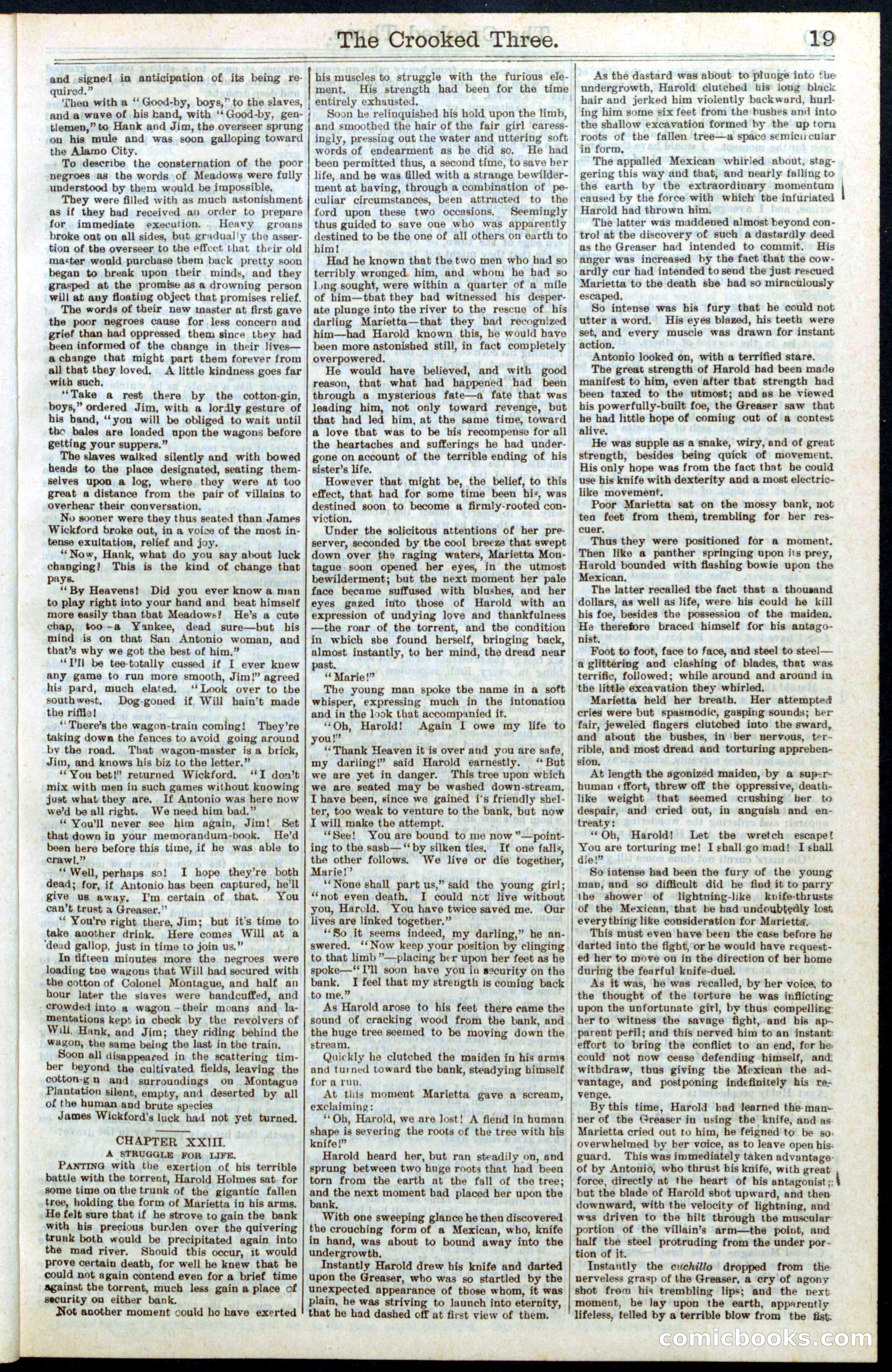 Beadle's New York Dime Library No. 264 — page 19 of 32