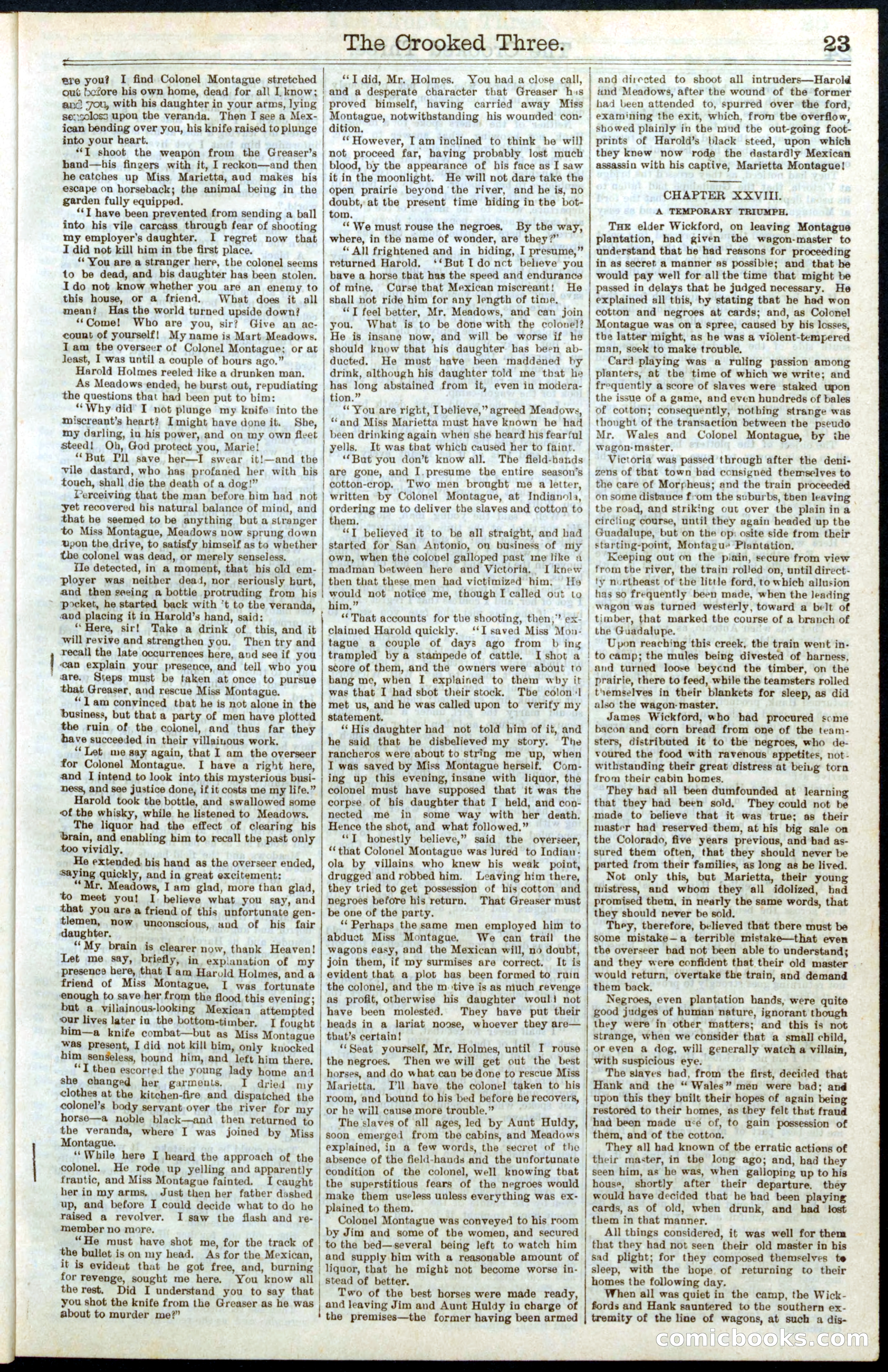 Beadle's New York Dime Library No. 264 — page 23 of 32