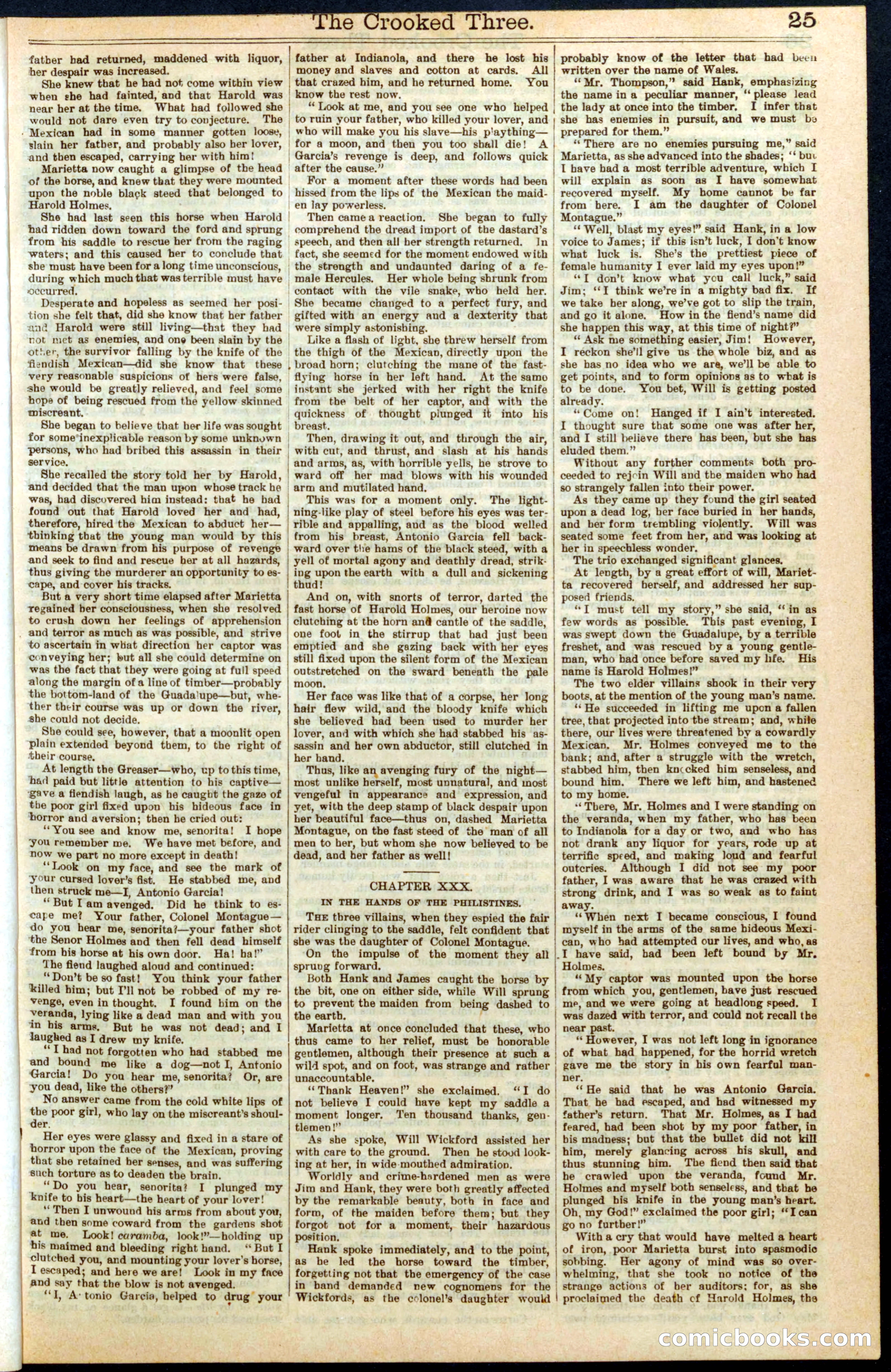 Beadle's New York Dime Library No. 264 — page 25 of 32