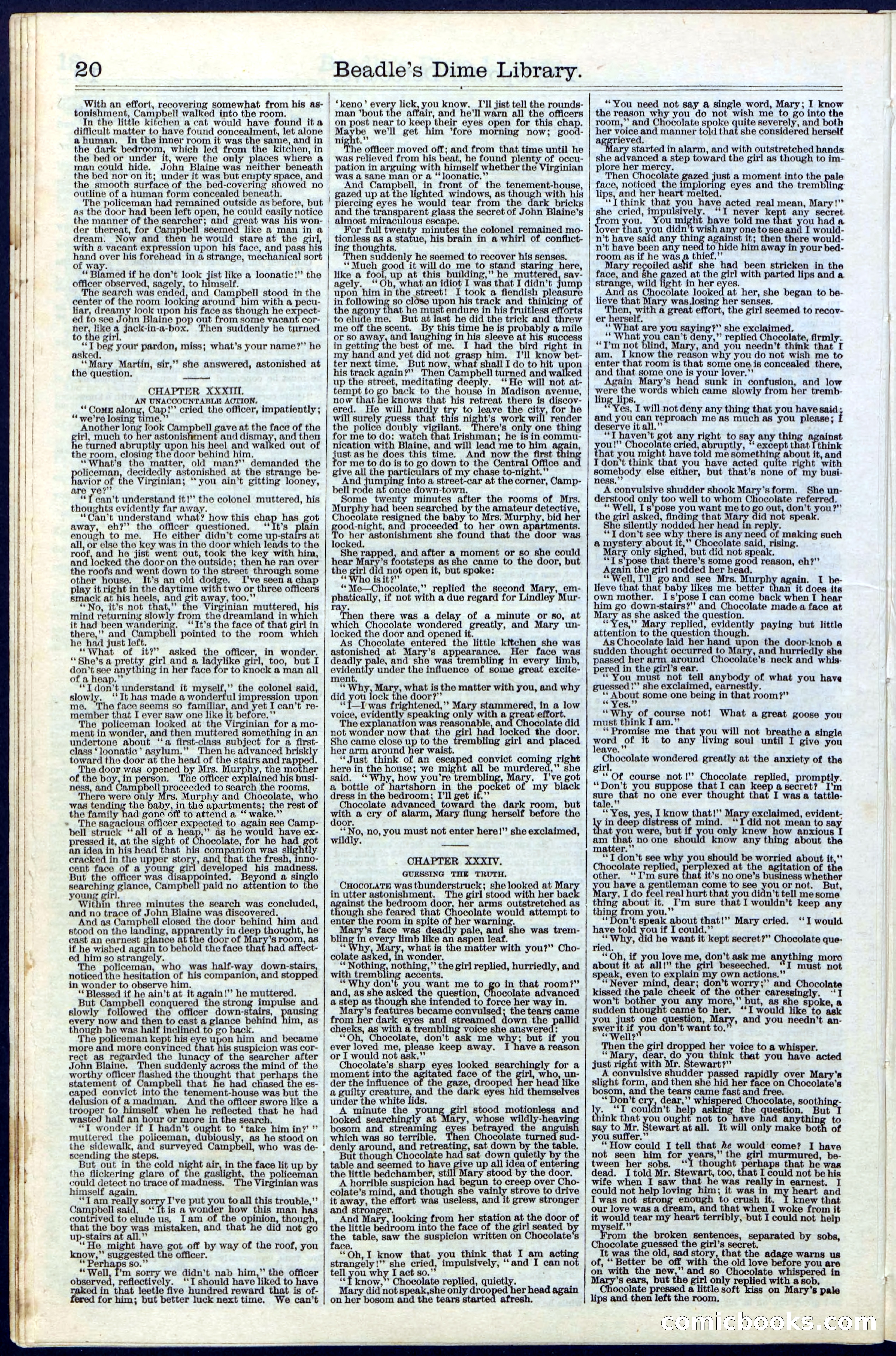 Beadle's Dime Library No. 27 — page 20 of 28