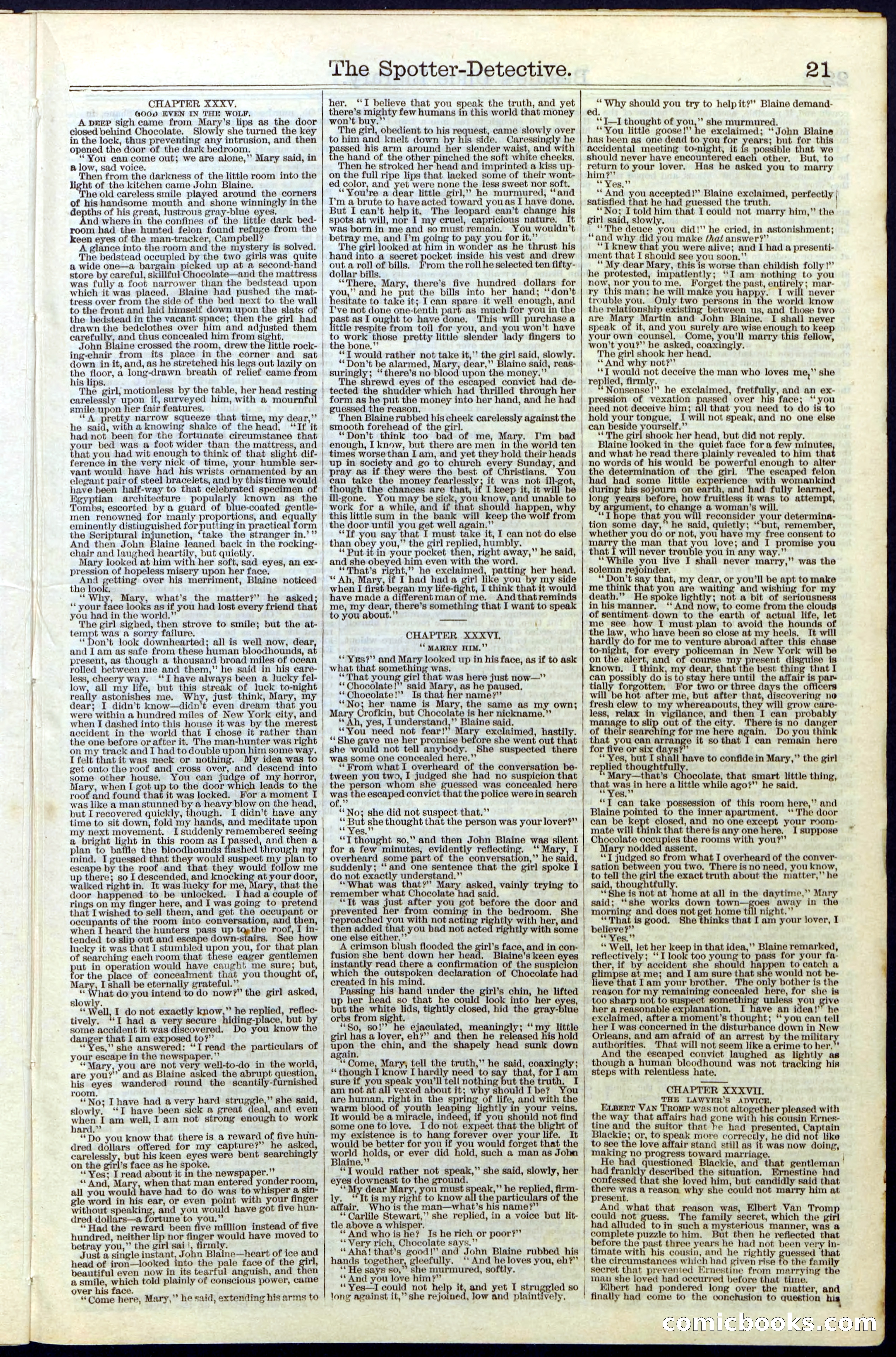 Beadle's Dime Library No. 27 — page 21 of 28