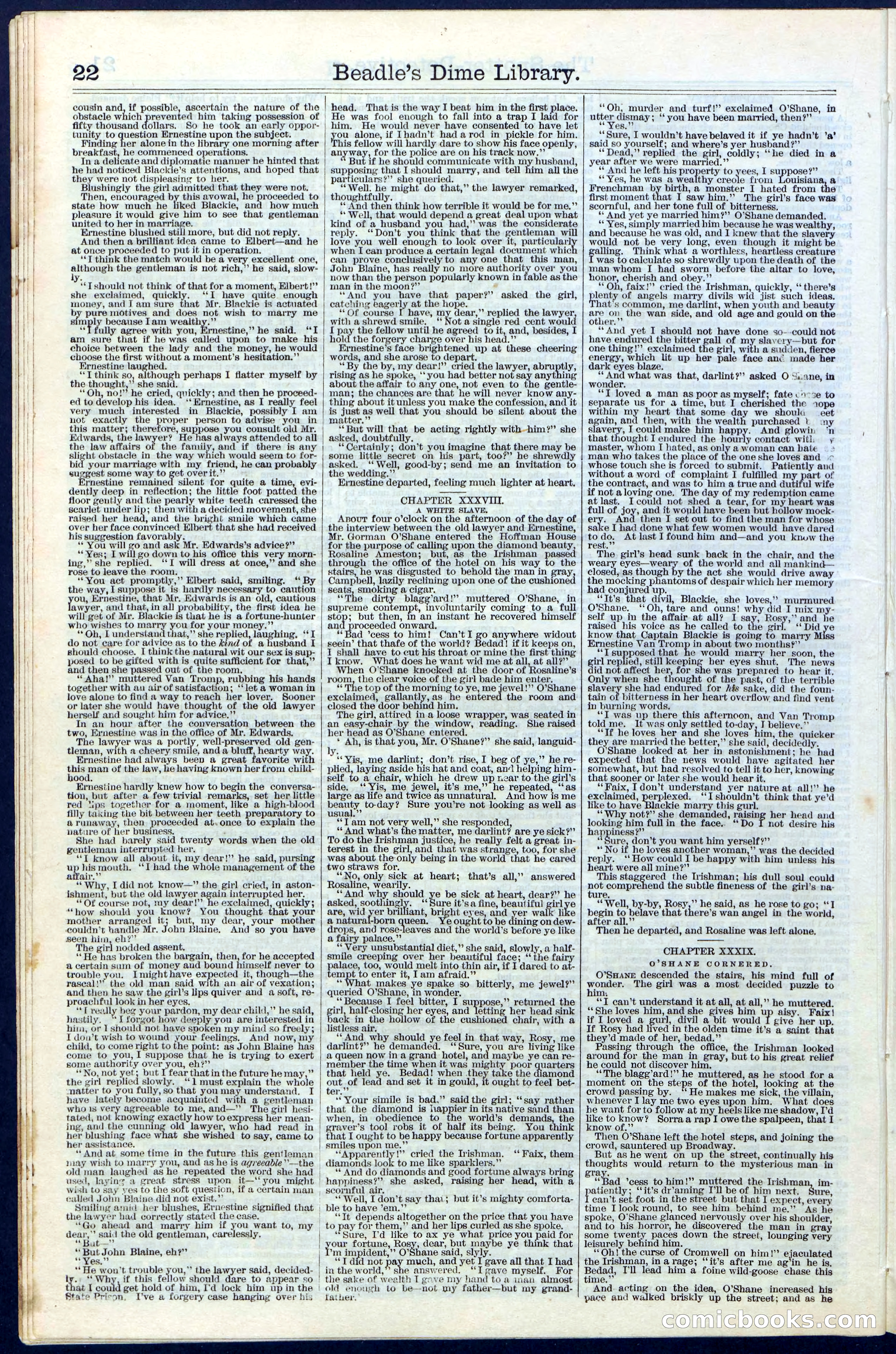 Beadle's Dime Library No. 27 — page 22 of 28
