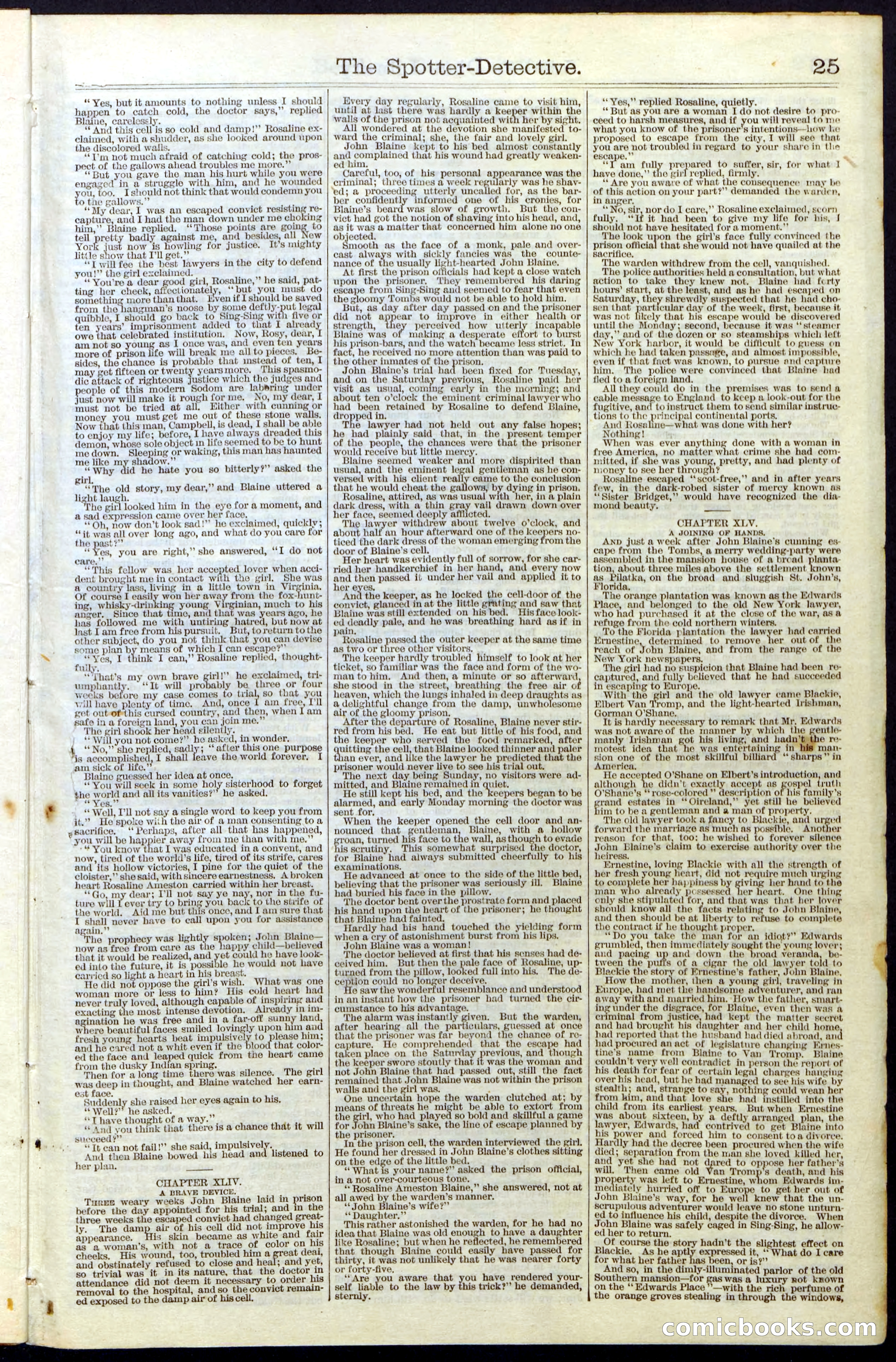 Beadle's Dime Library No. 27 — page 25 of 28