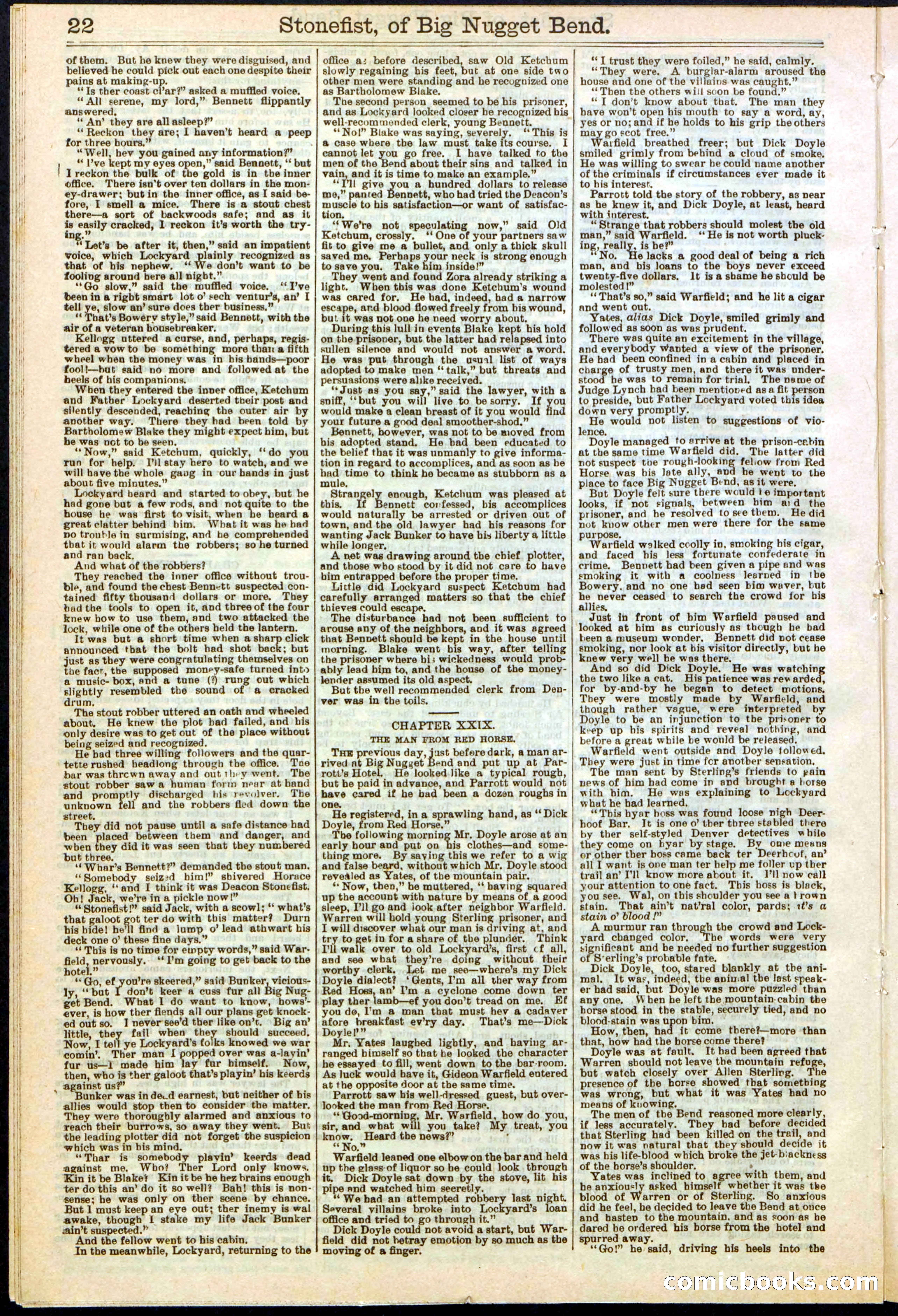 Beadle's New York Dime Library No. 271 — page 22 of 32