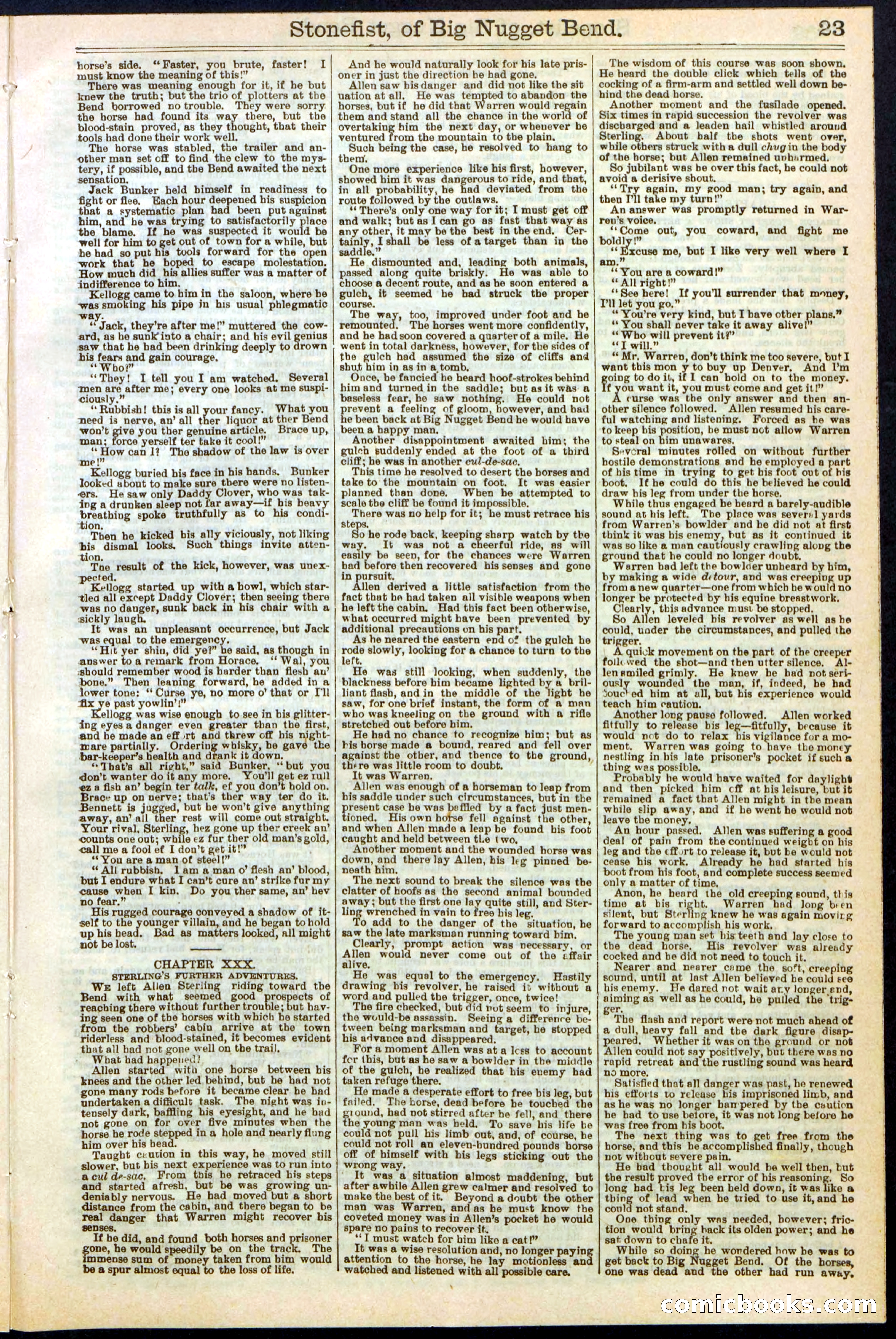 Beadle's New York Dime Library No. 271 — page 23 of 32