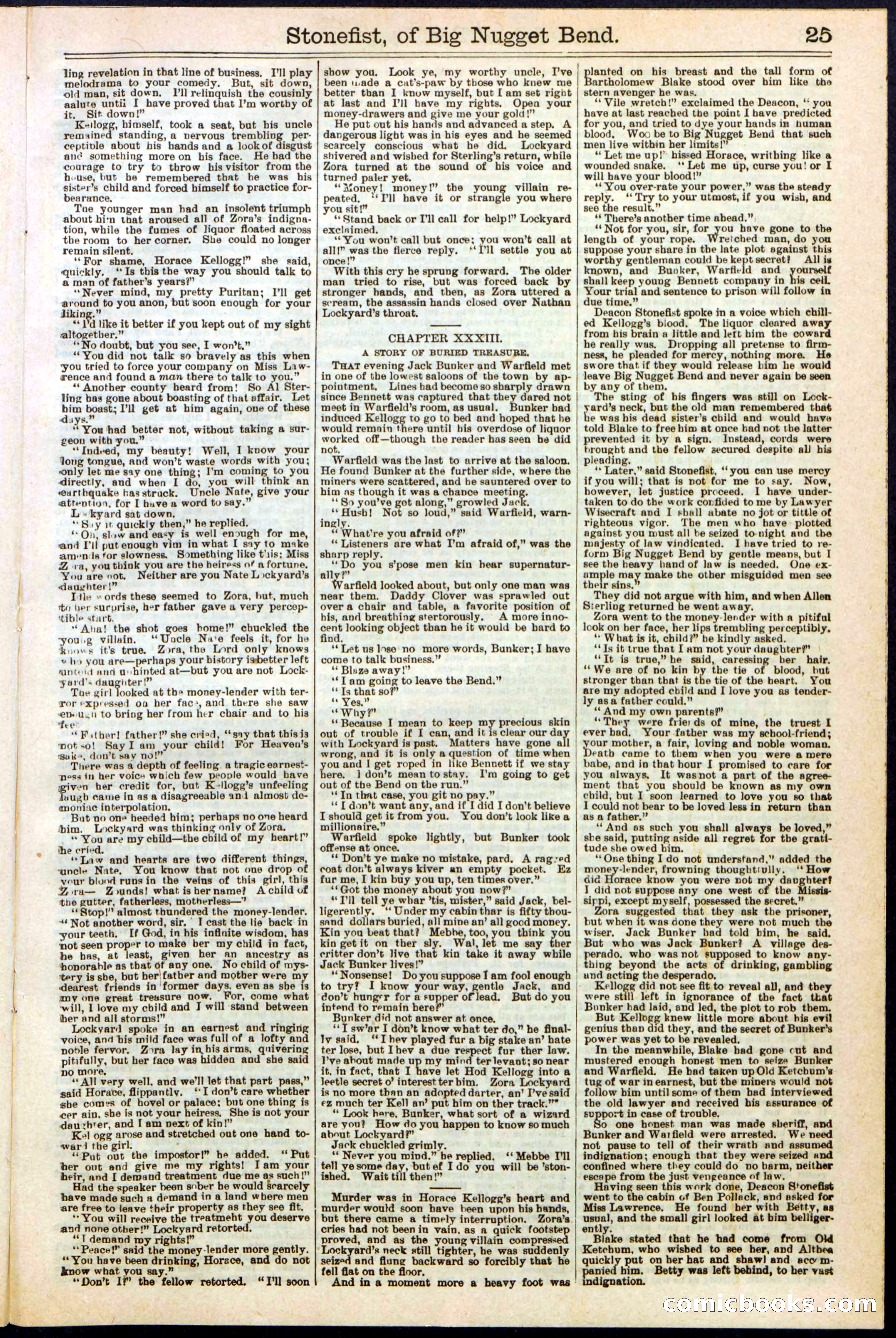 Beadle's New York Dime Library No. 271 — page 25 of 32