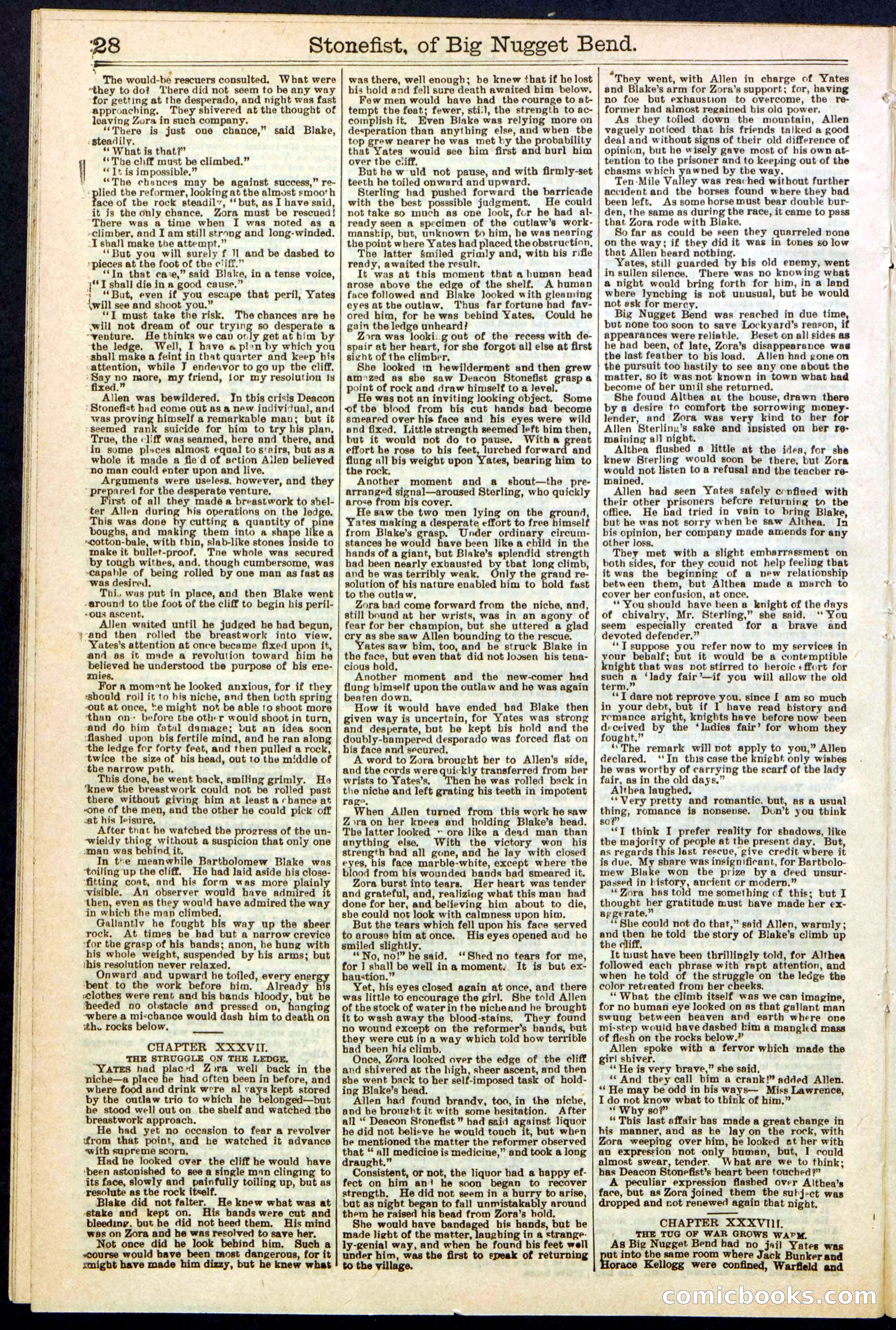 Beadle's New York Dime Library No. 271 — page 28 of 32