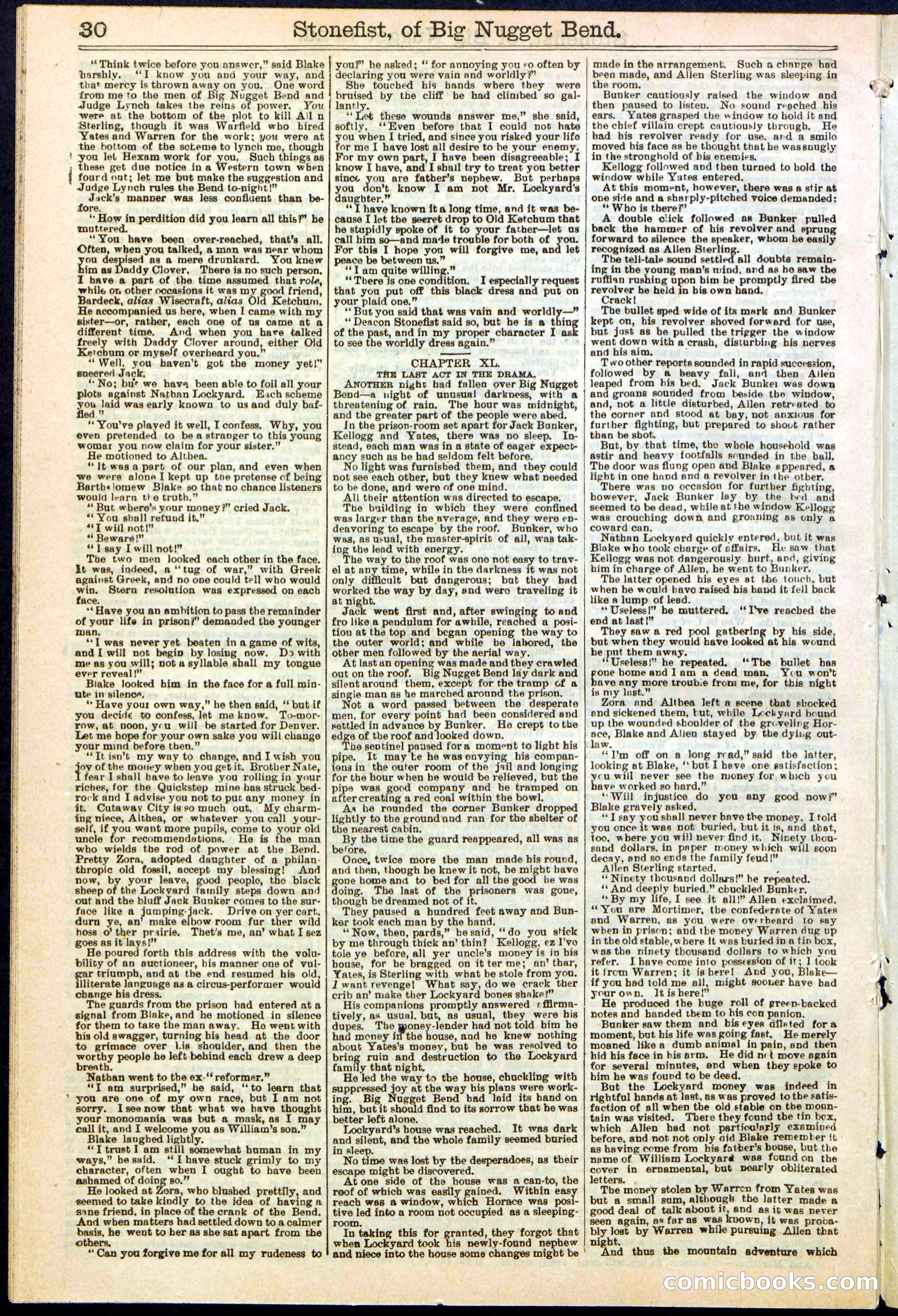 Beadle's New York Dime Library No. 271 — page 30 of 32