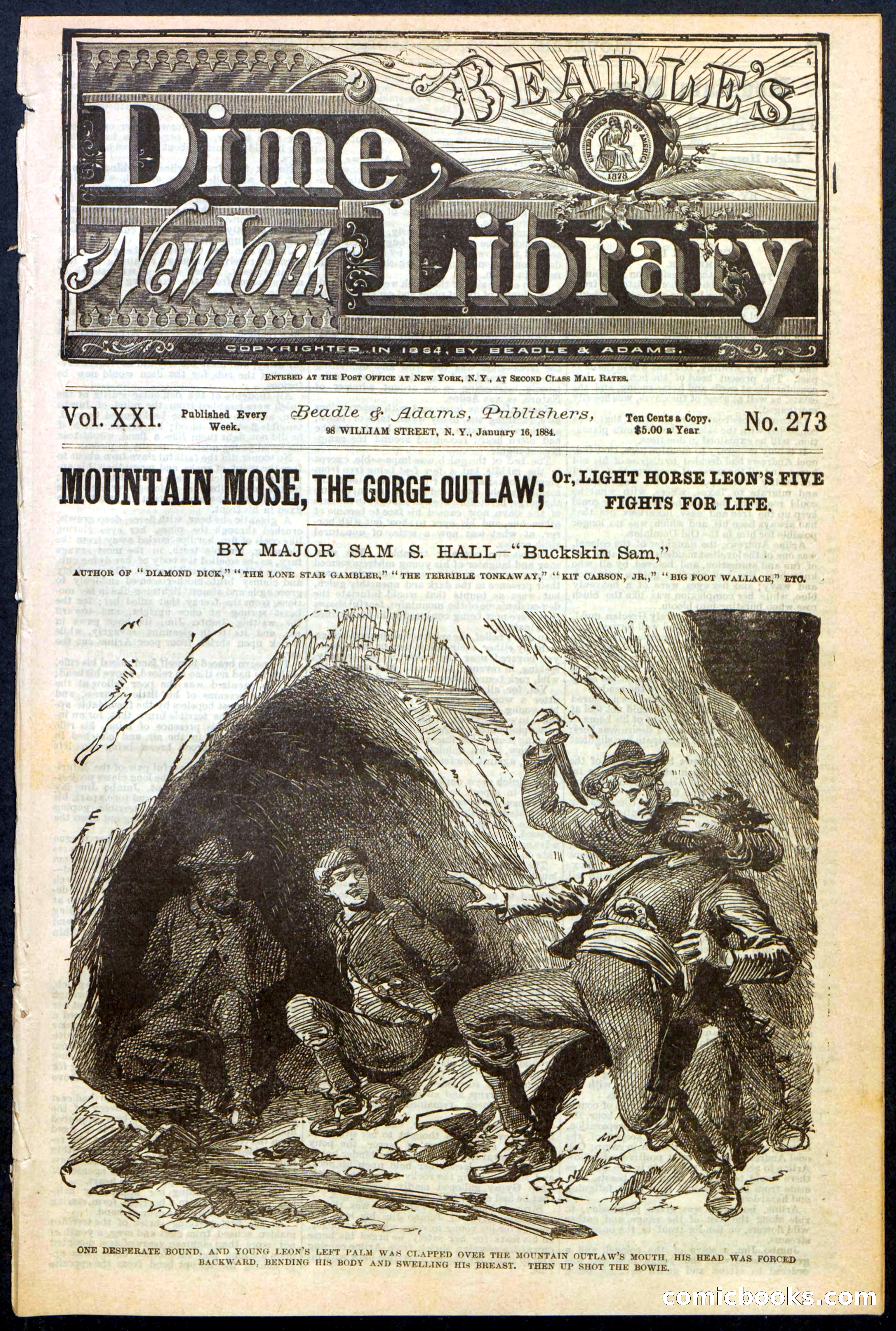 Beadle's Dime Library, No. 273 — page 1 of 24