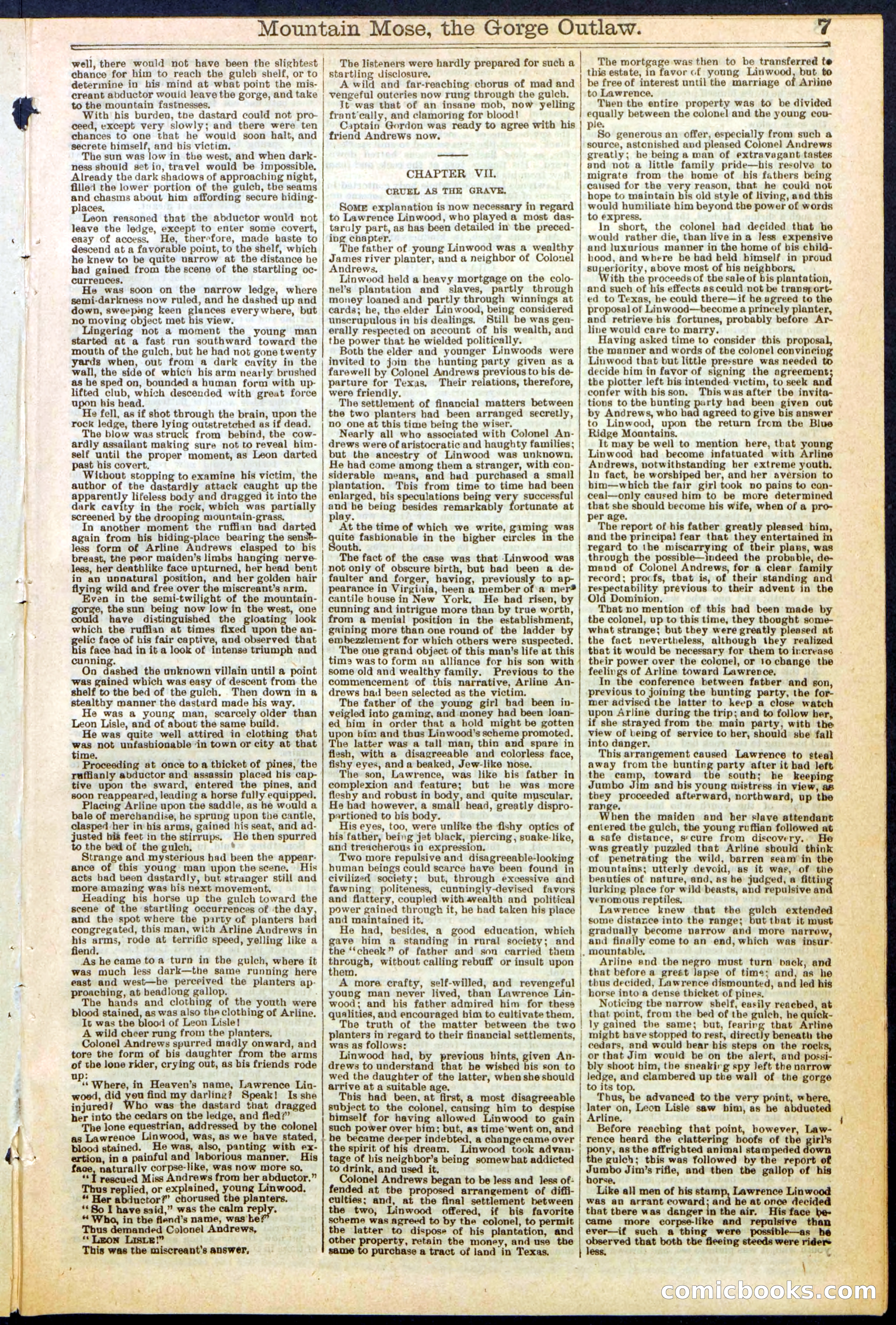 Beadle's Dime Library, No. 273 — page 7 of 24