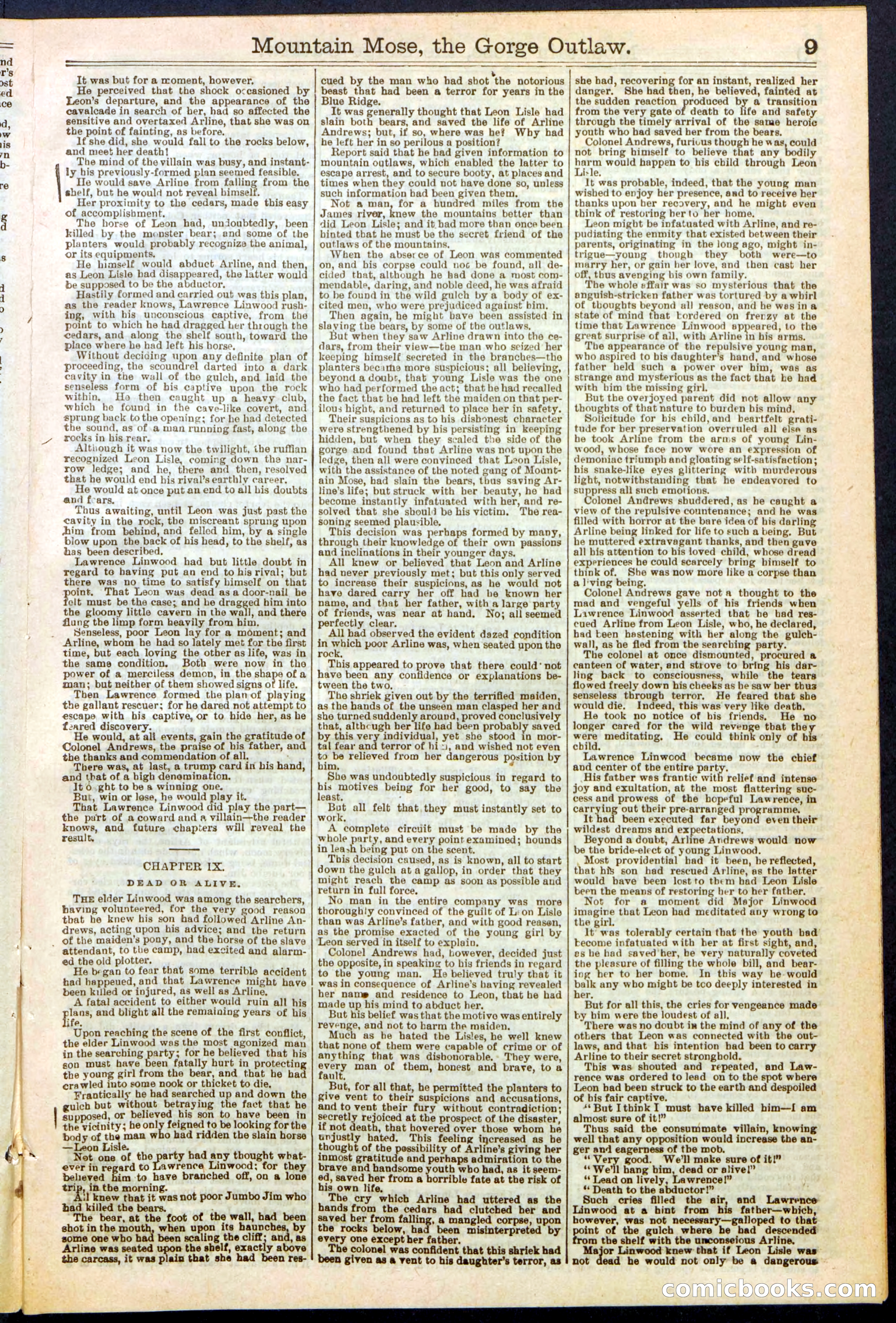 Beadle's Dime Library, No. 273 — page 9 of 24