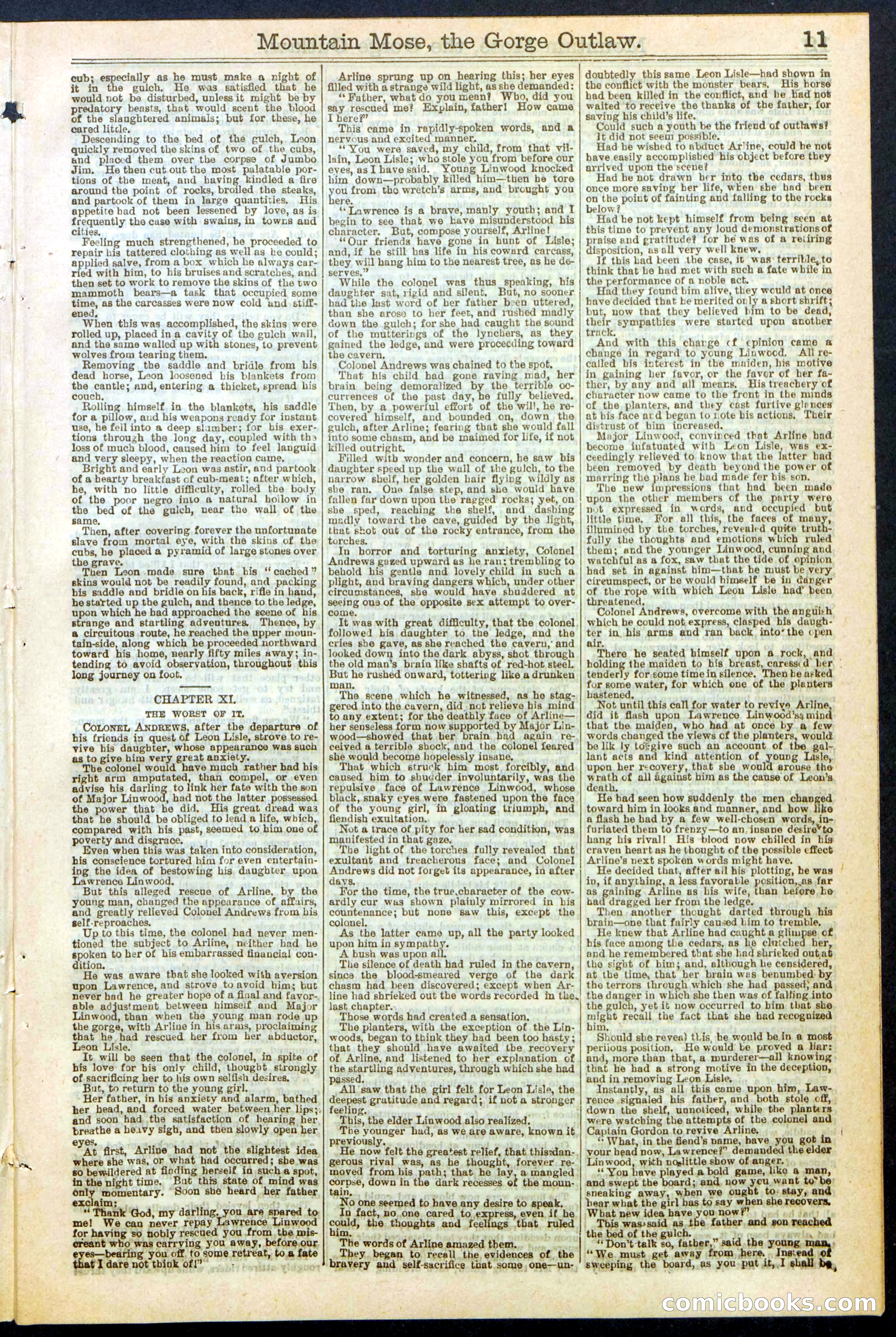 Beadle's Dime Library, No. 273 — page 11 of 24