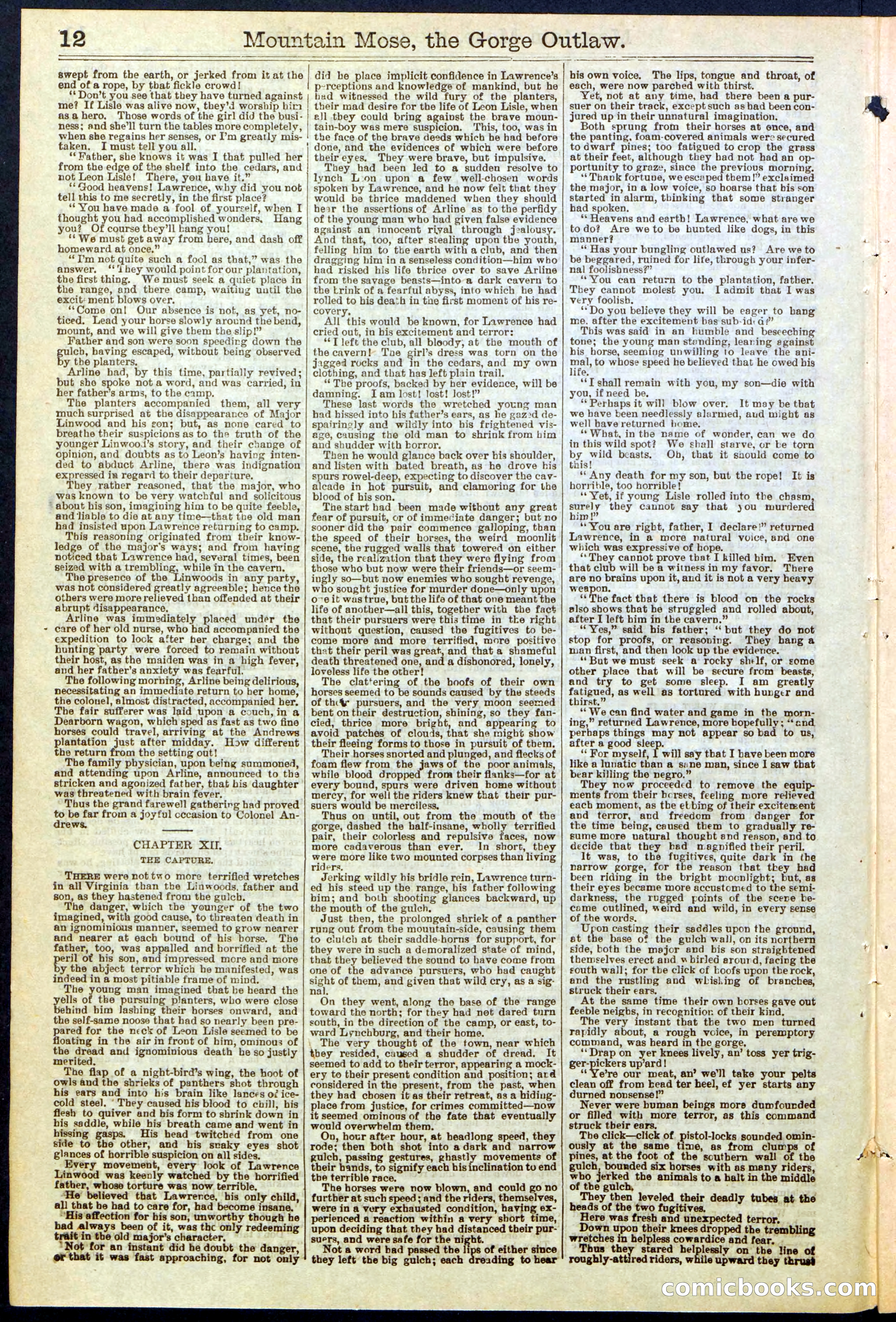 Beadle's Dime Library, No. 273 — page 12 of 24