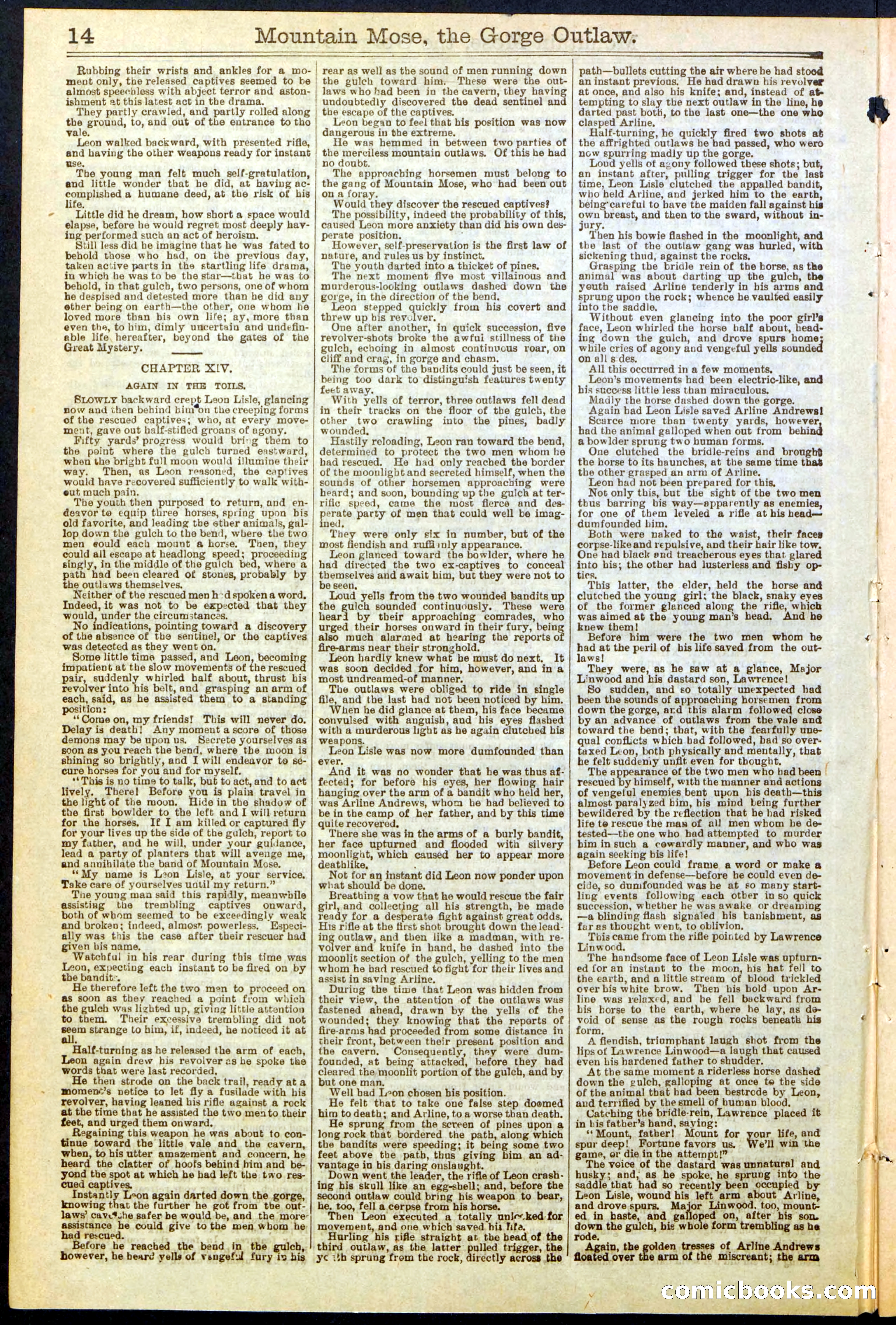 Beadle's Dime Library, No. 273 — page 14 of 24