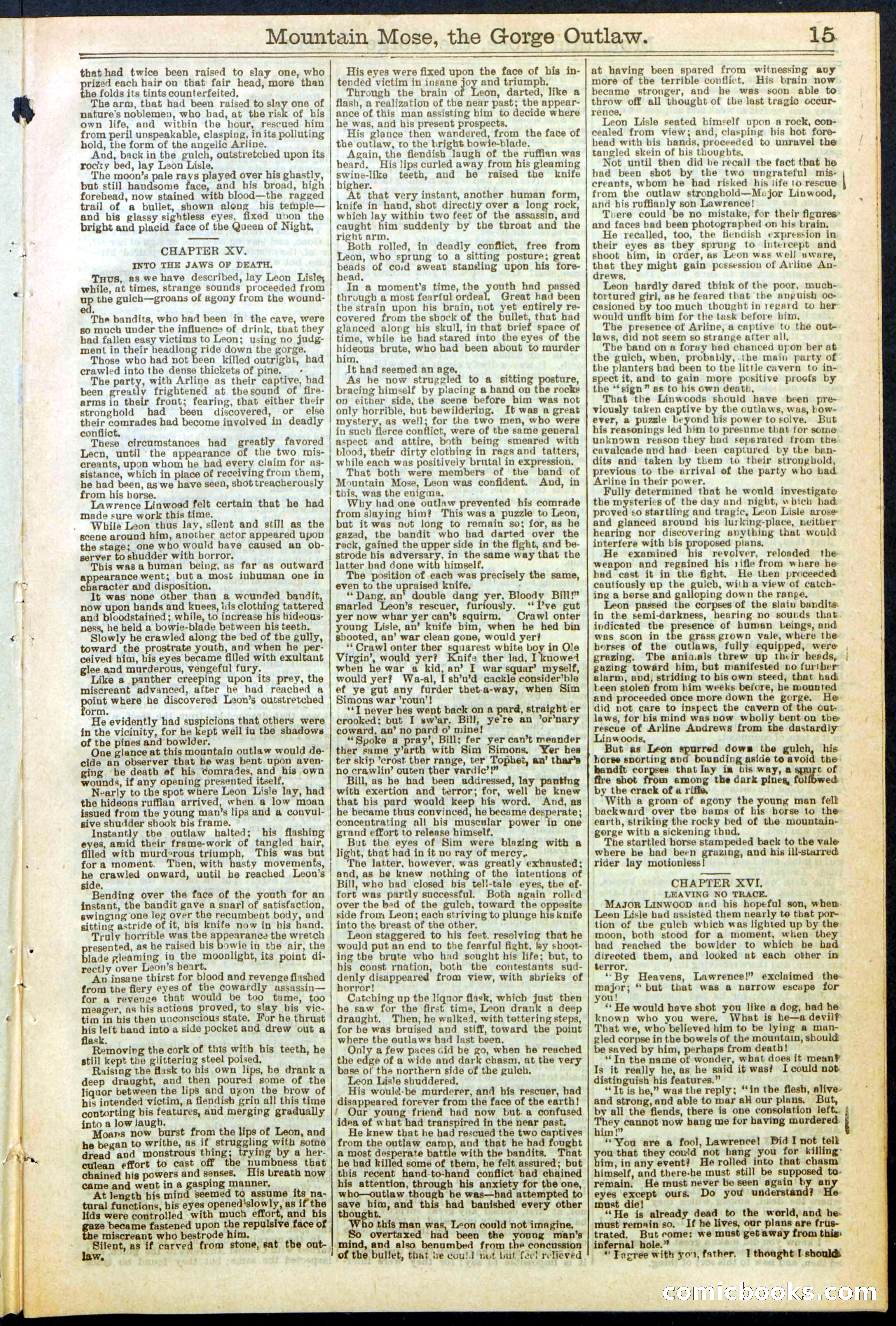 Beadle's Dime Library, No. 273 — page 15 of 24