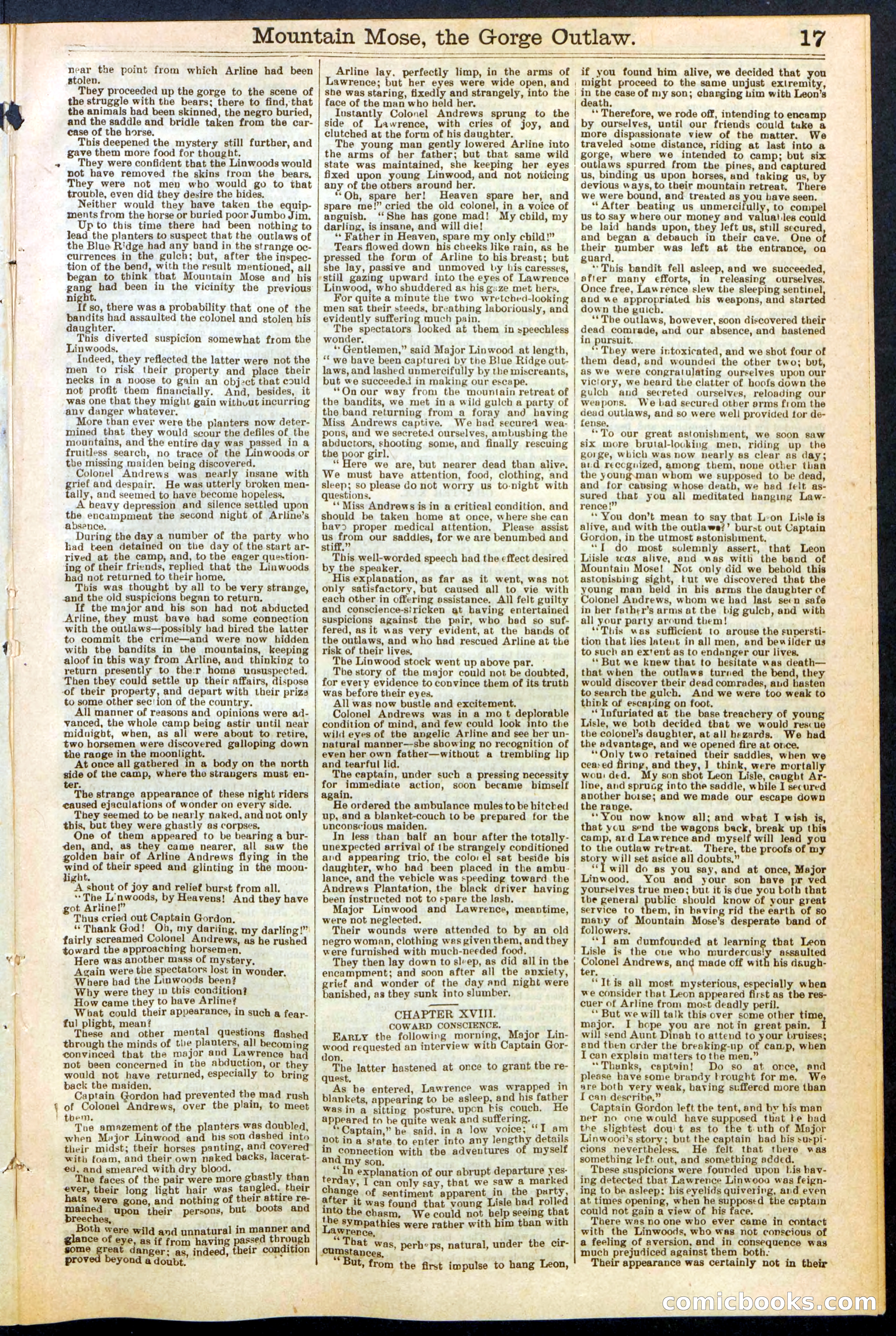 Beadle's Dime Library, No. 273 — page 17 of 24