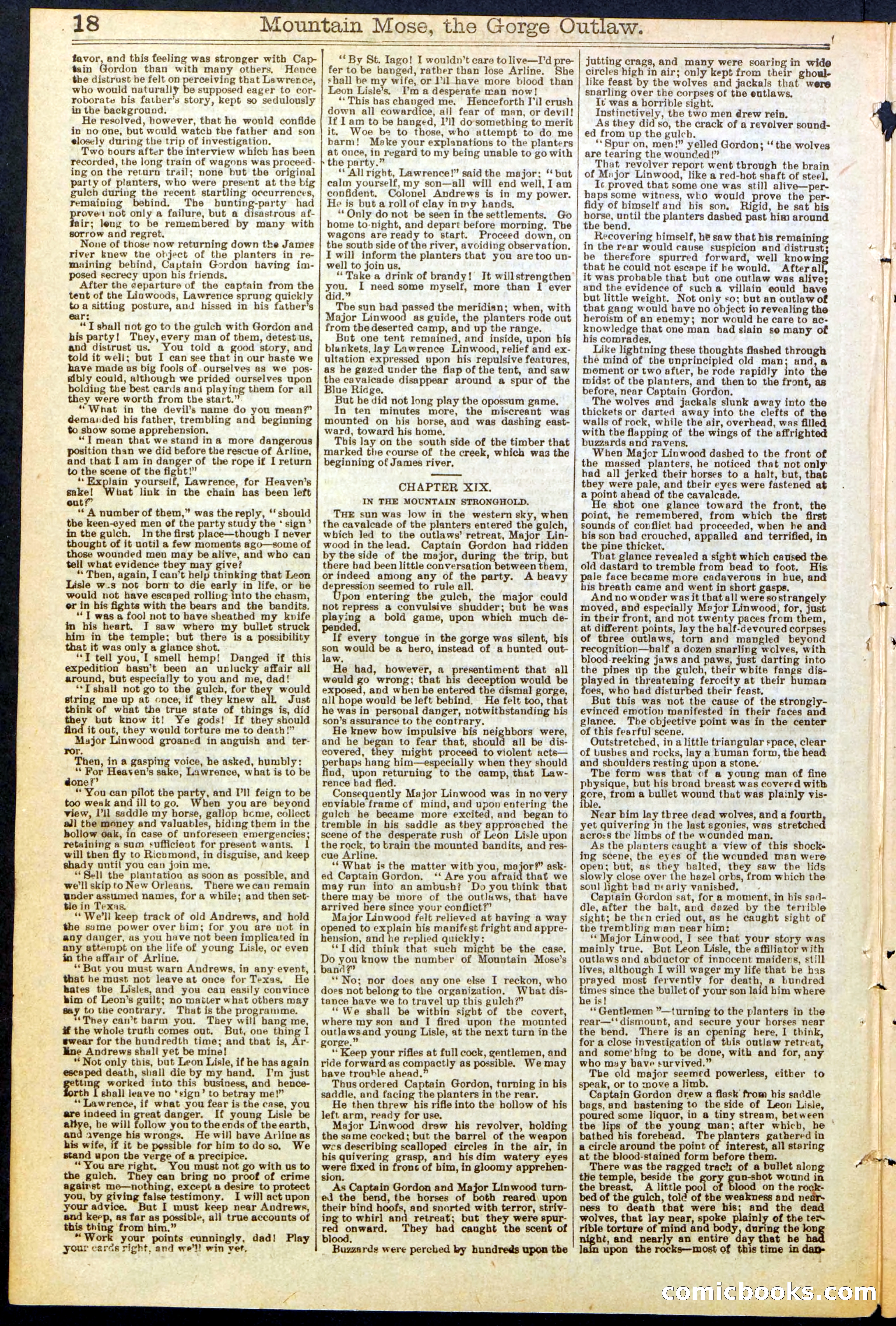 Beadle's Dime Library, No. 273 — page 18 of 24