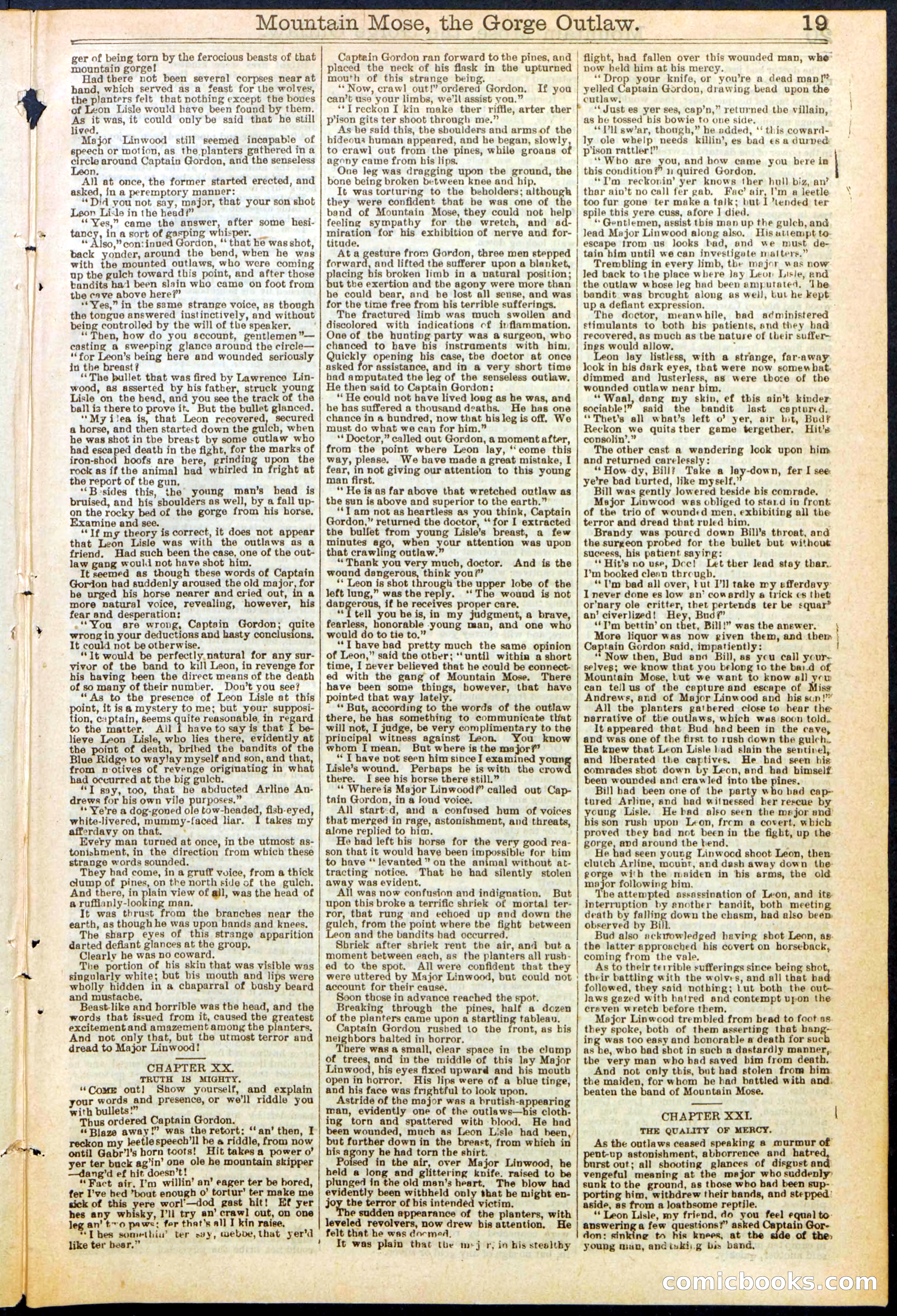 Beadle's Dime Library, No. 273 — page 19 of 24