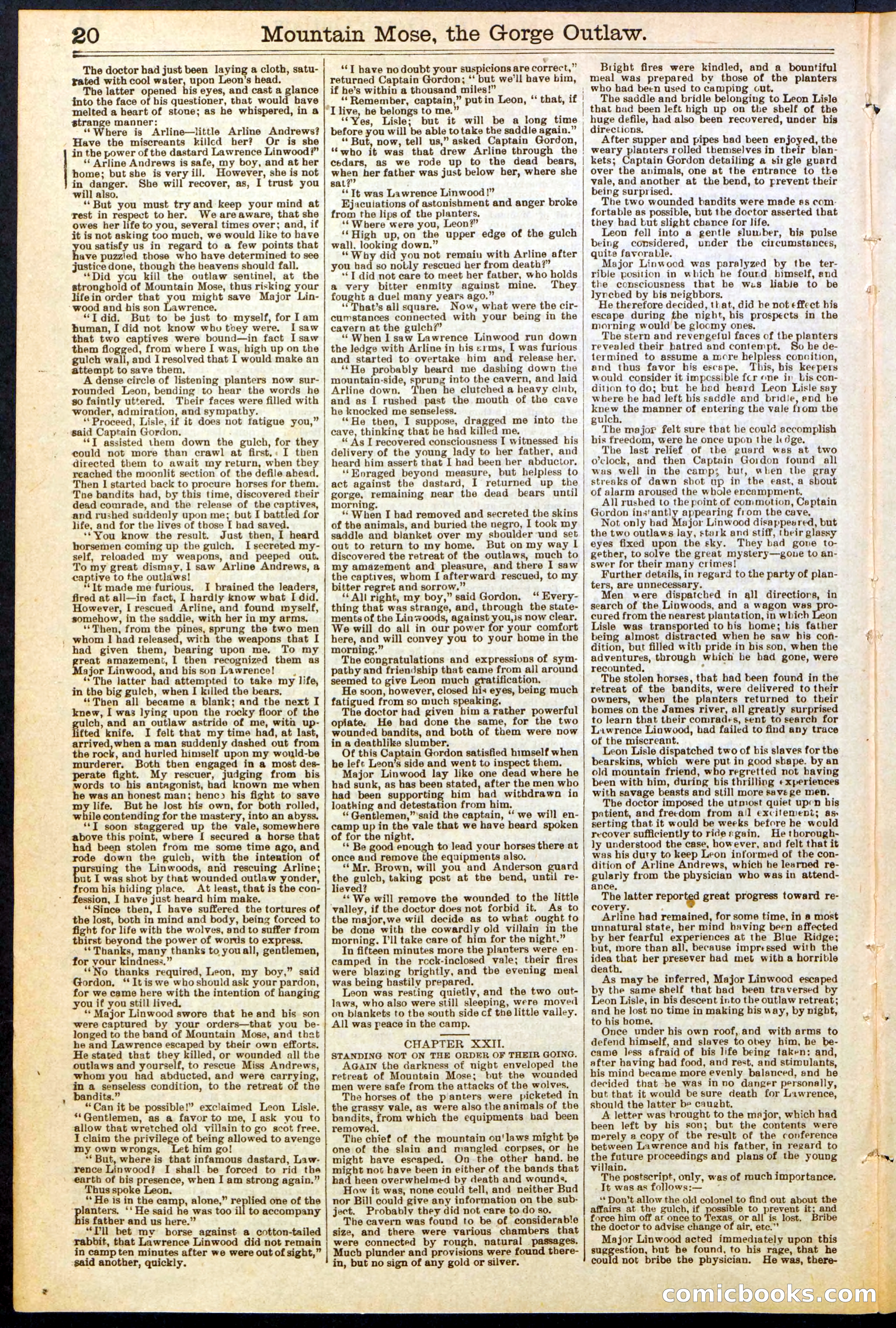 Beadle's Dime Library, No. 273 — page 20 of 24