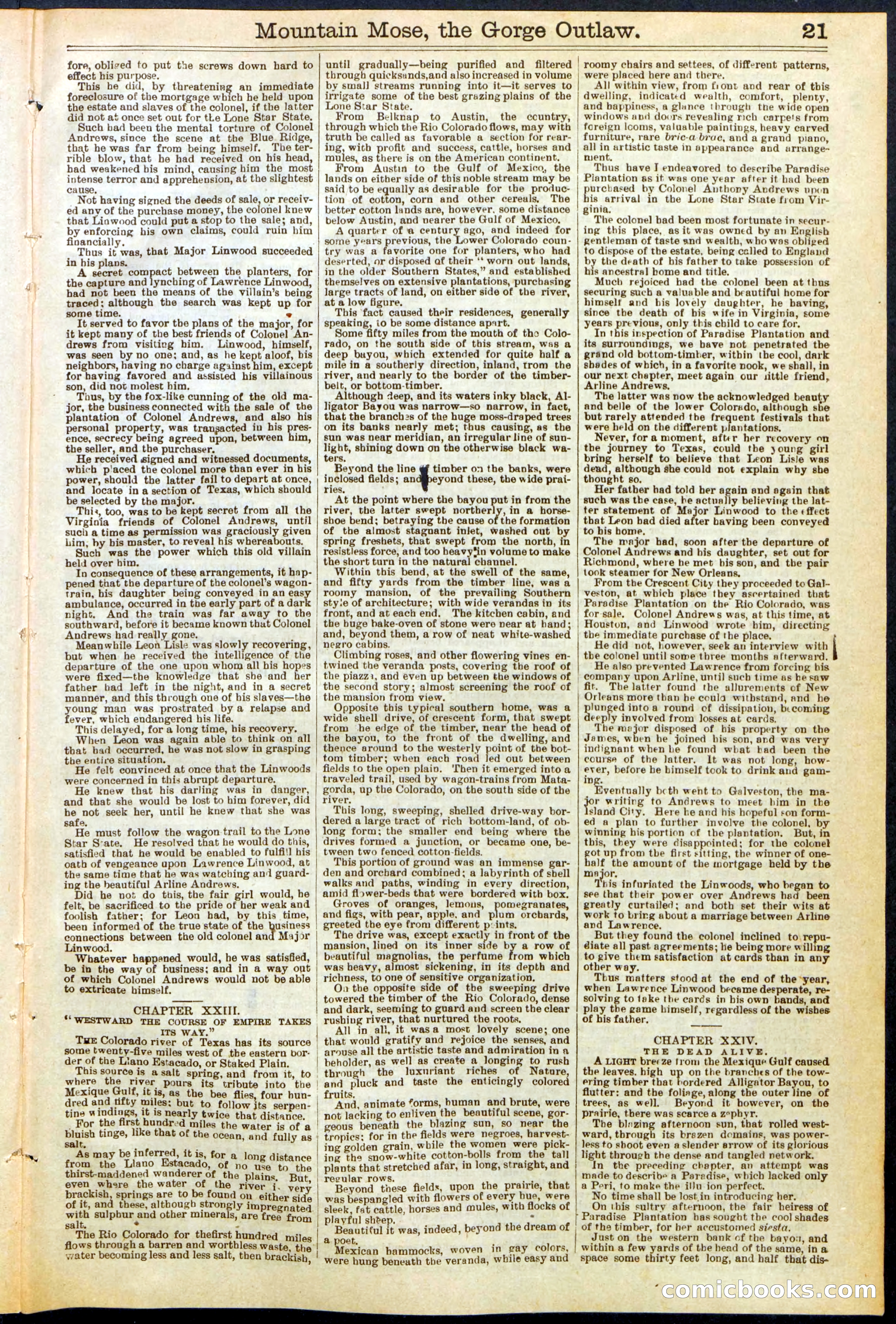 Beadle's Dime Library, No. 273 — page 21 of 24