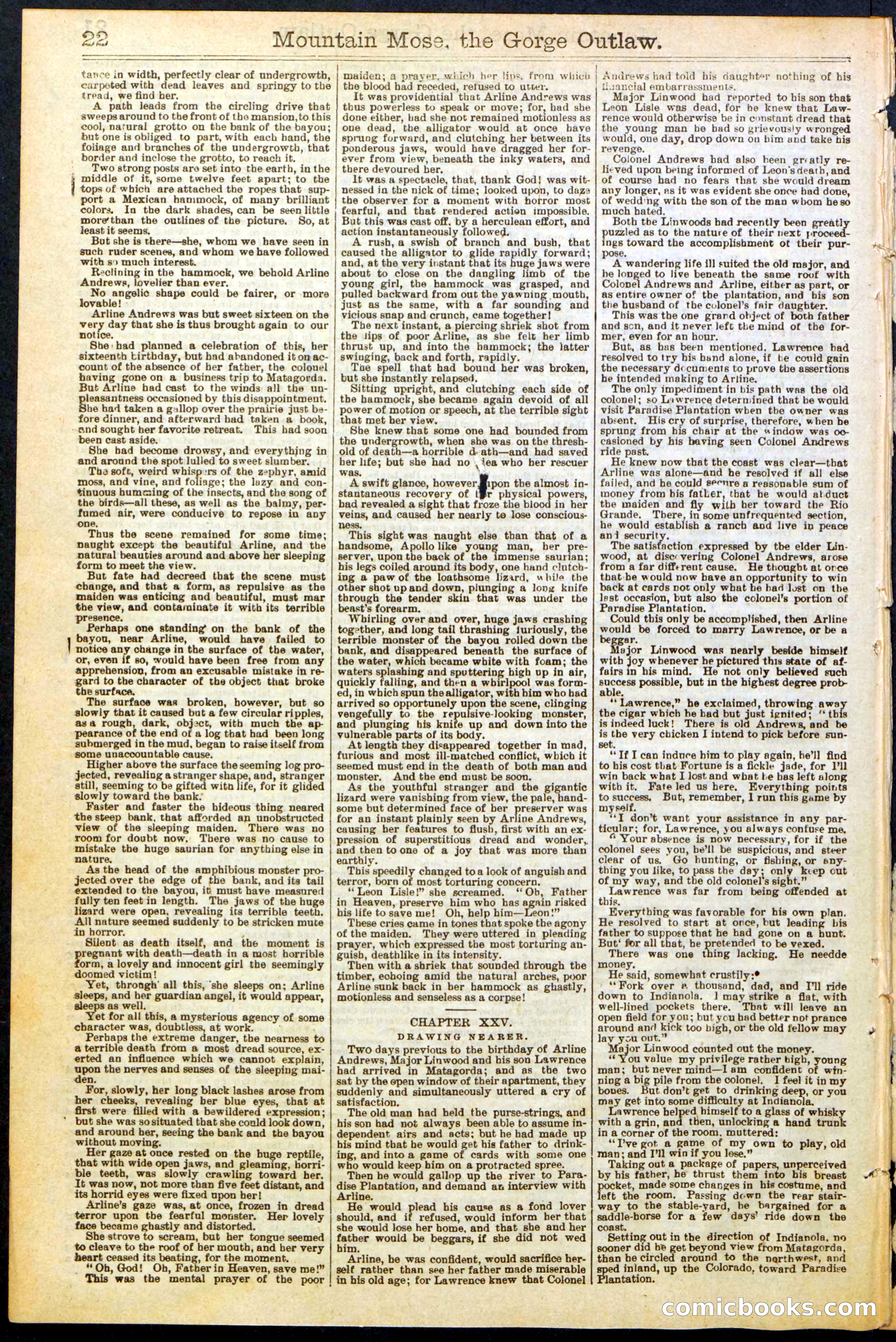 Beadle's Dime Library, No. 273 — page 22 of 24