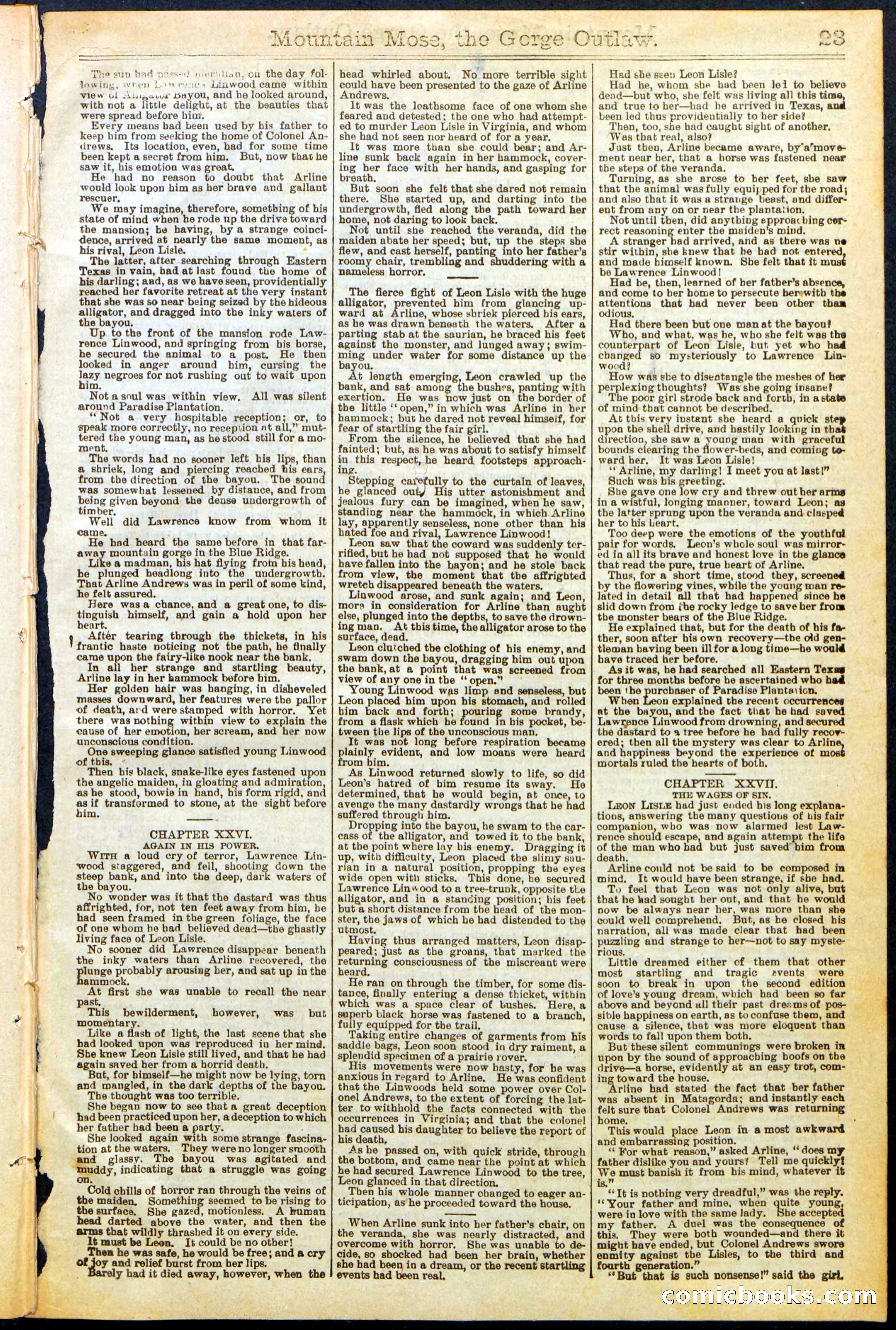 Beadle's Dime Library, No. 273 — page 23 of 24