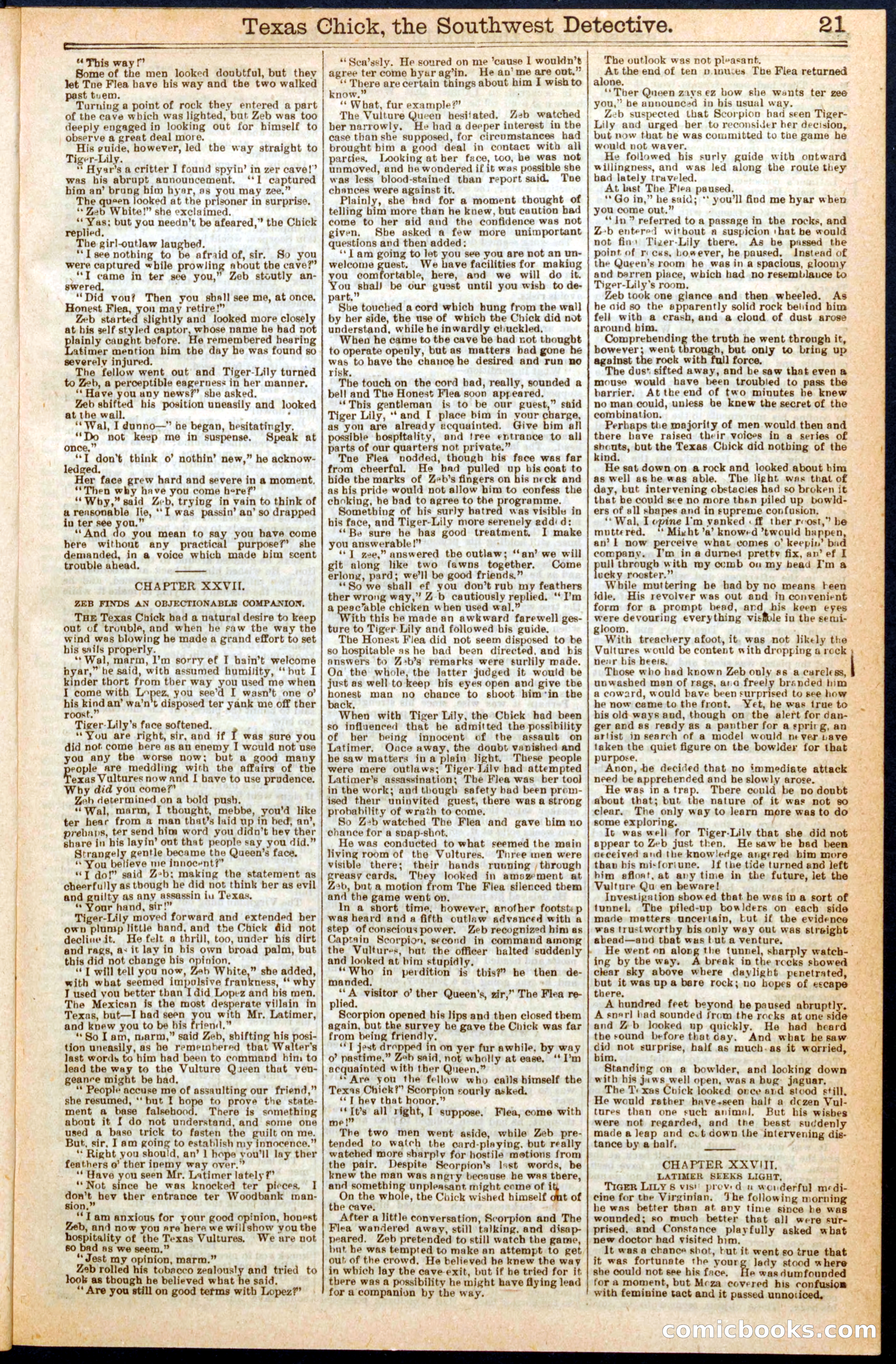 Beadle's Dime Library, No. 276 — page 21 of 32