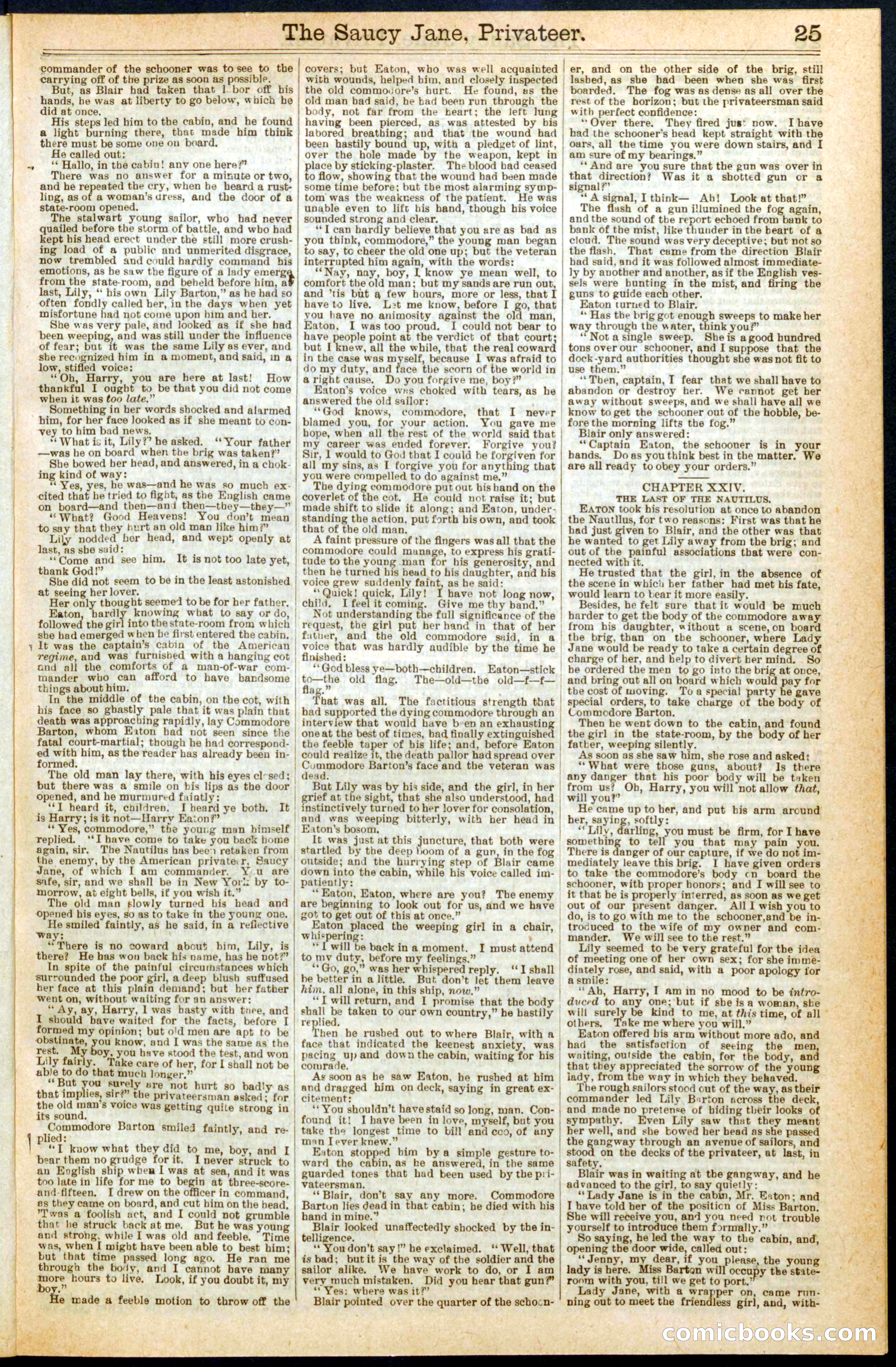 Beadle's New York Dime Library No. 277 — page 25 of 32