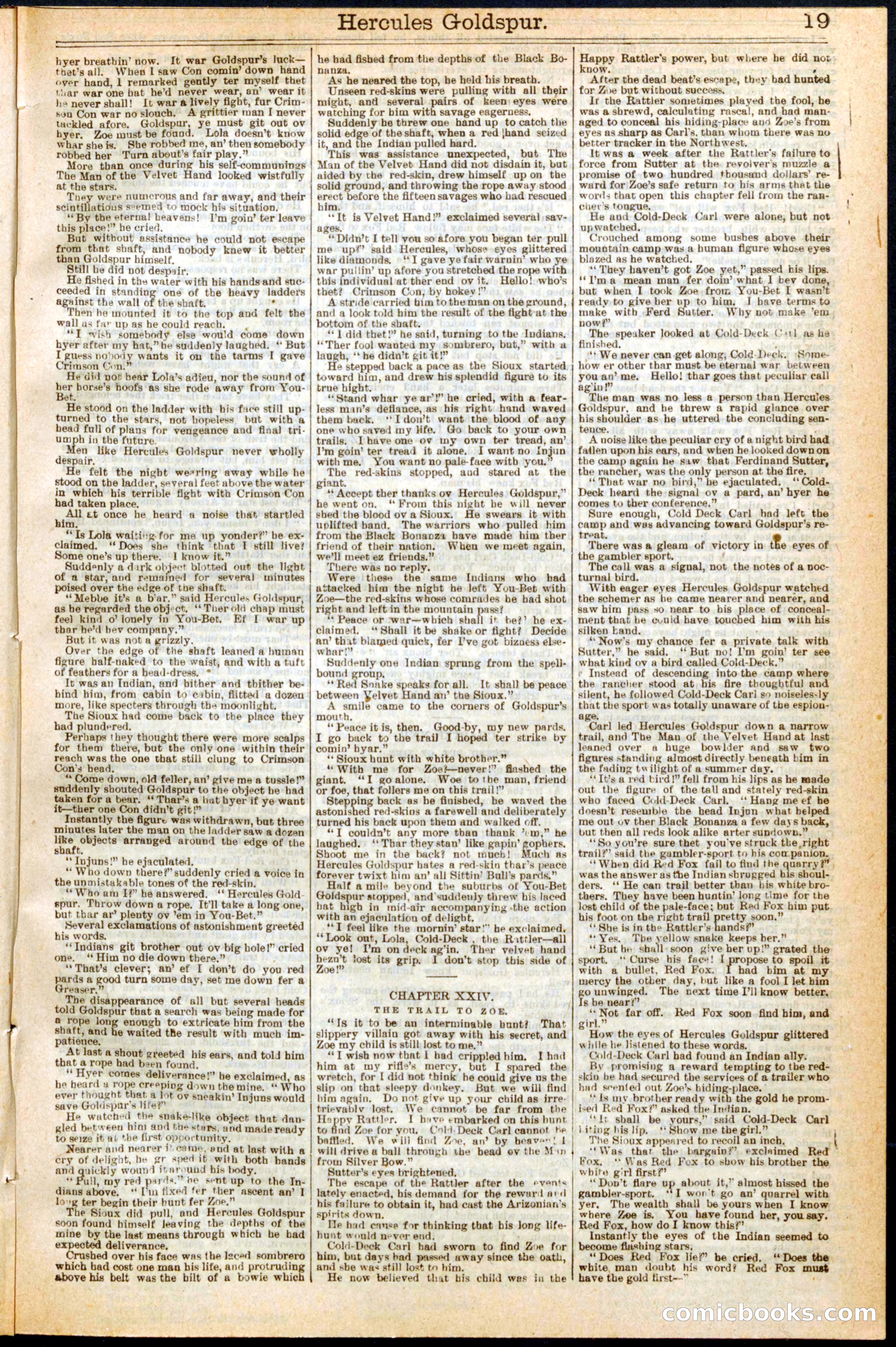 Beadle's Dime Library No. 278 — page 19 of 32
