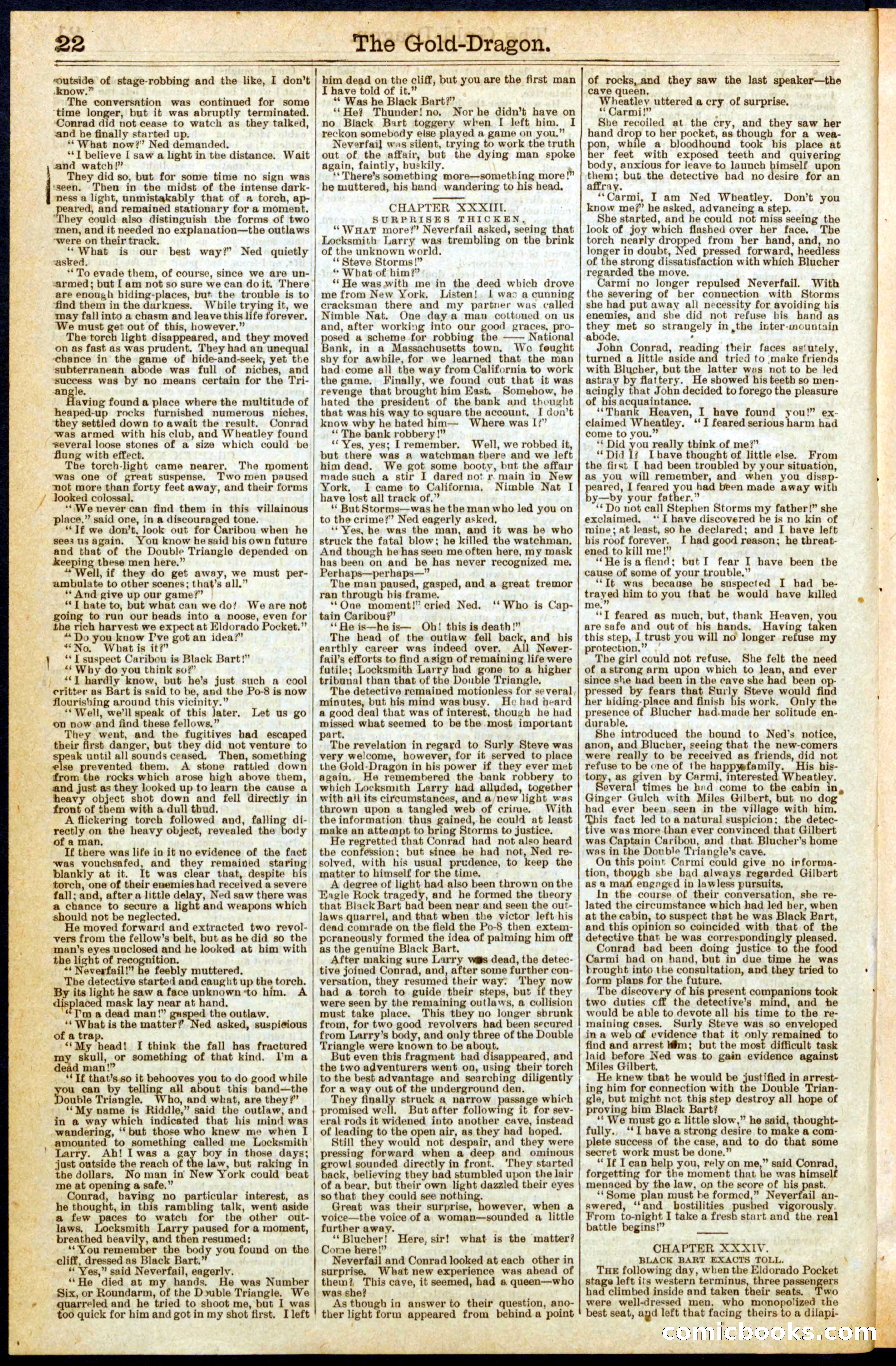 Beadle's New York Dime Library, No. 279 — page 22 of 32