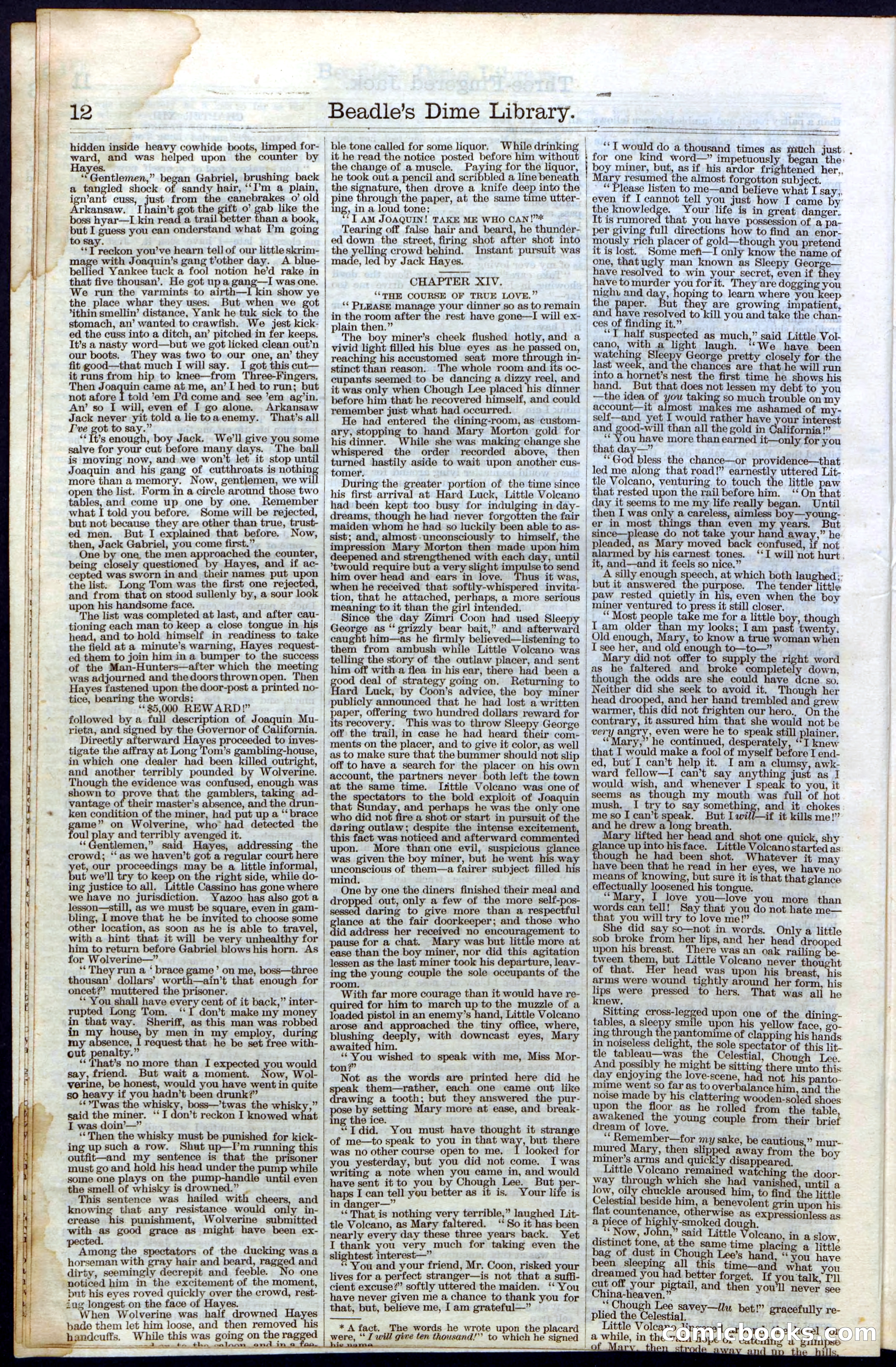 Beadle's New York Dime Library No. 28 — page 12 of 32