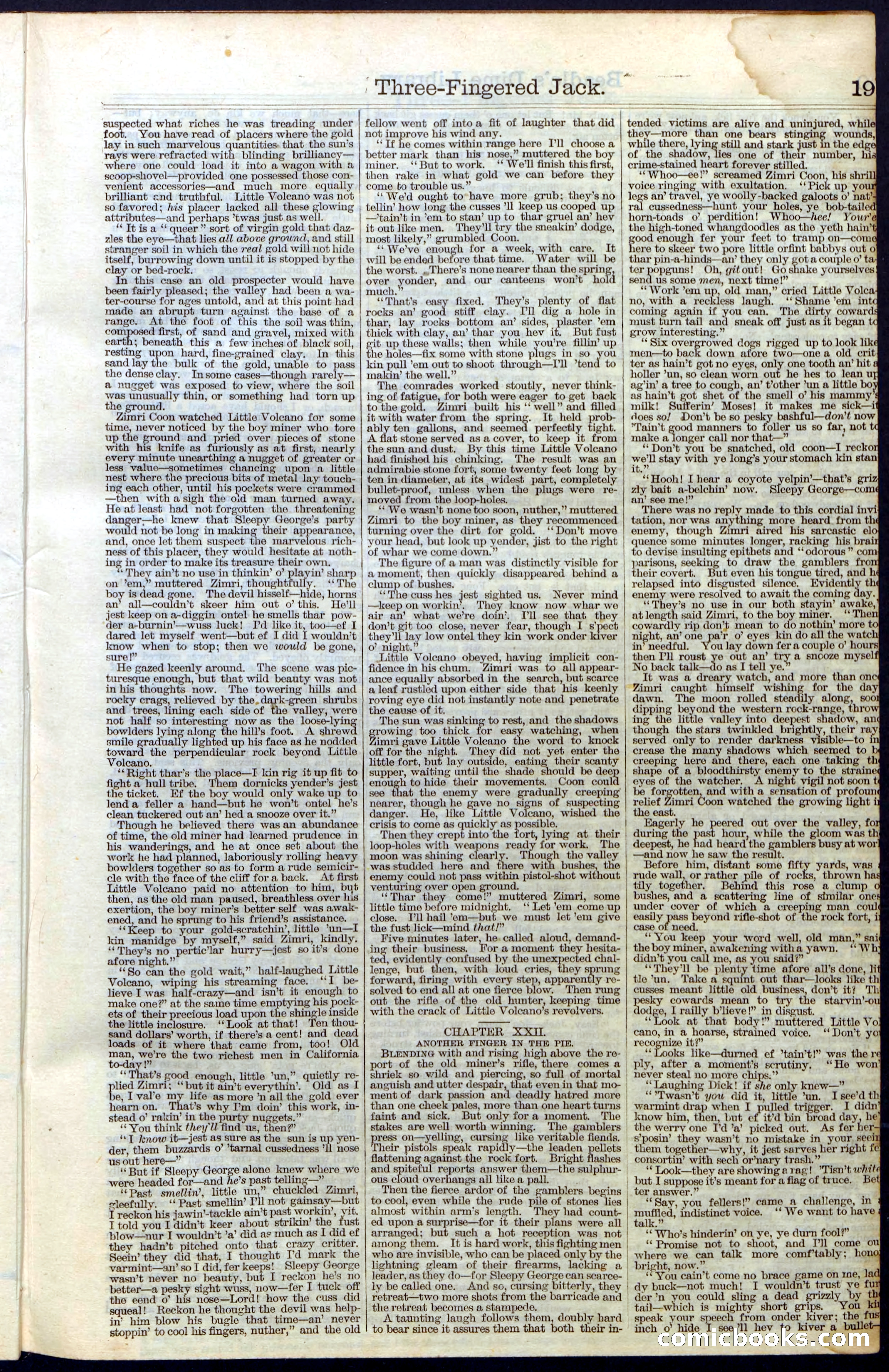 Beadle's New York Dime Library No. 28 — page 19 of 32