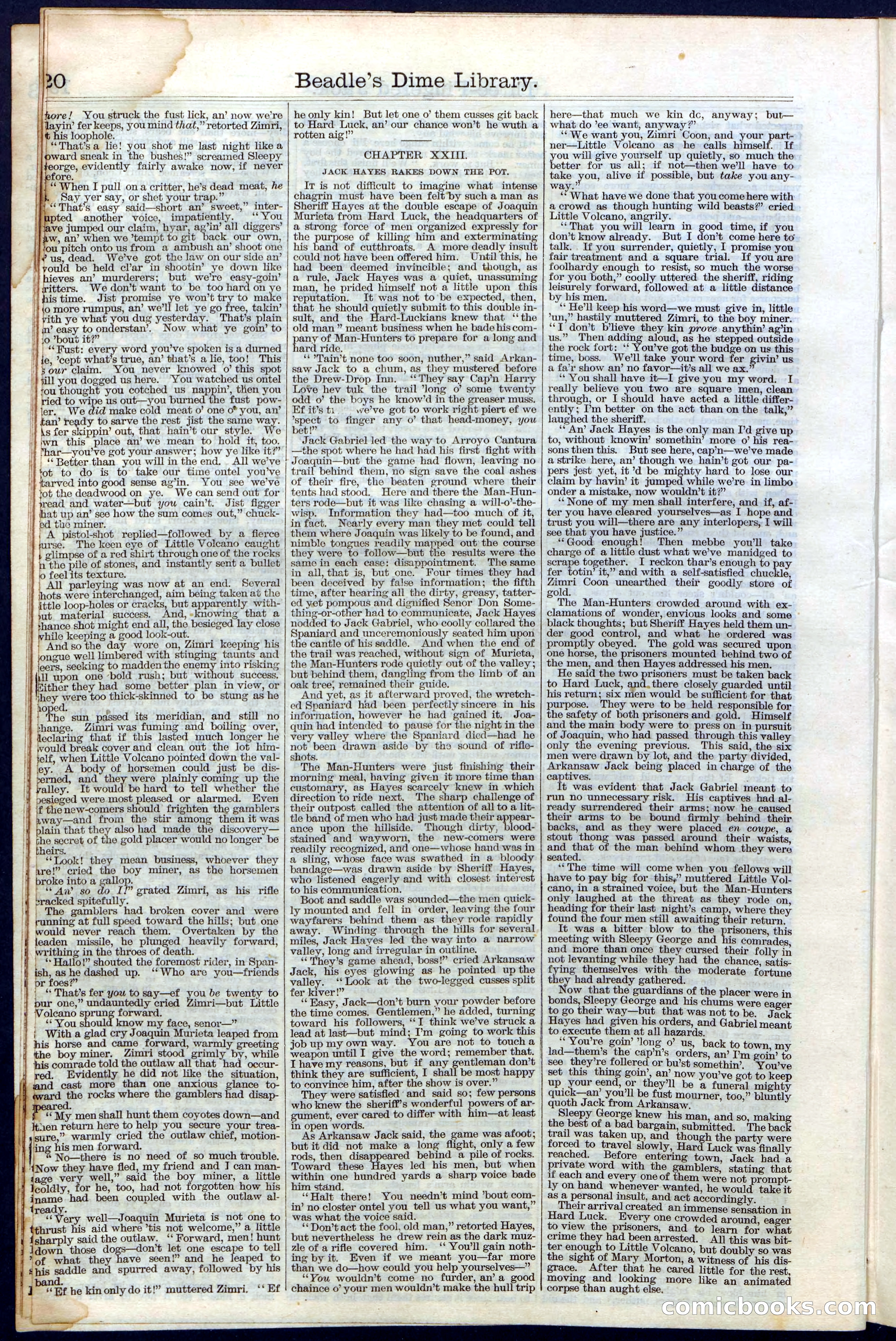 Beadle's New York Dime Library No. 28 — page 20 of 32