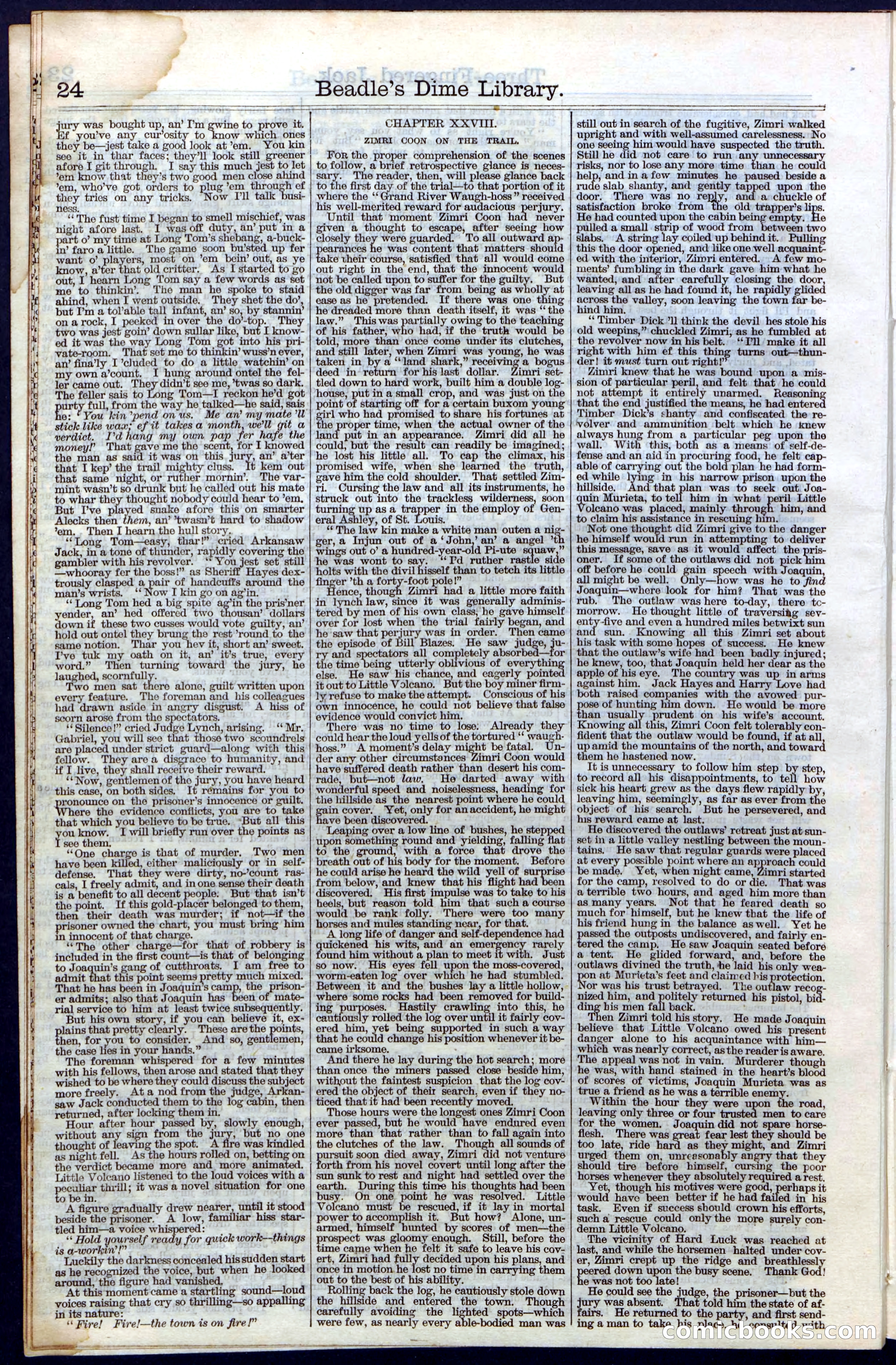 Beadle's New York Dime Library No. 28 — page 24 of 32