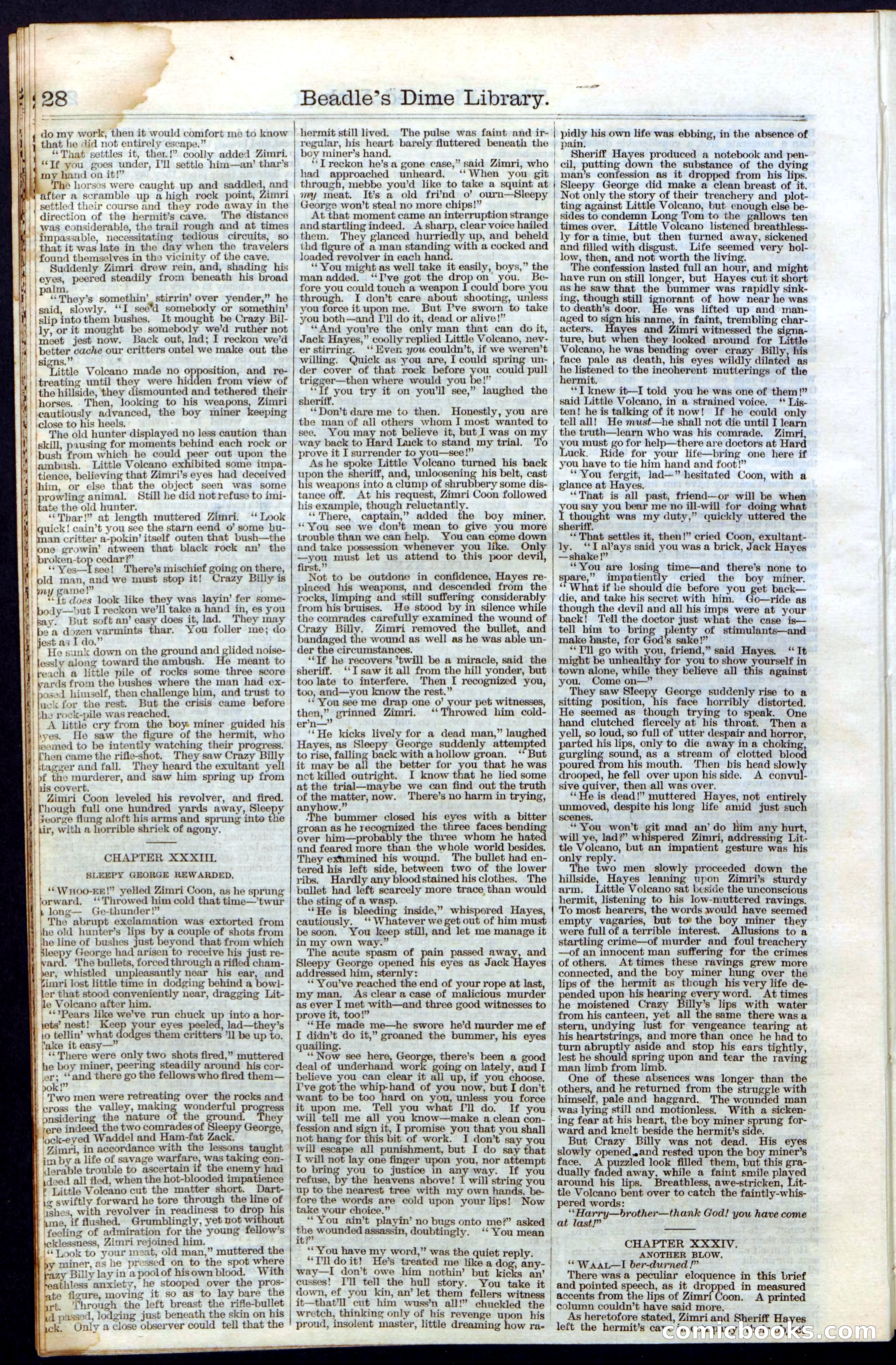 Beadle's New York Dime Library No. 28 — page 28 of 32